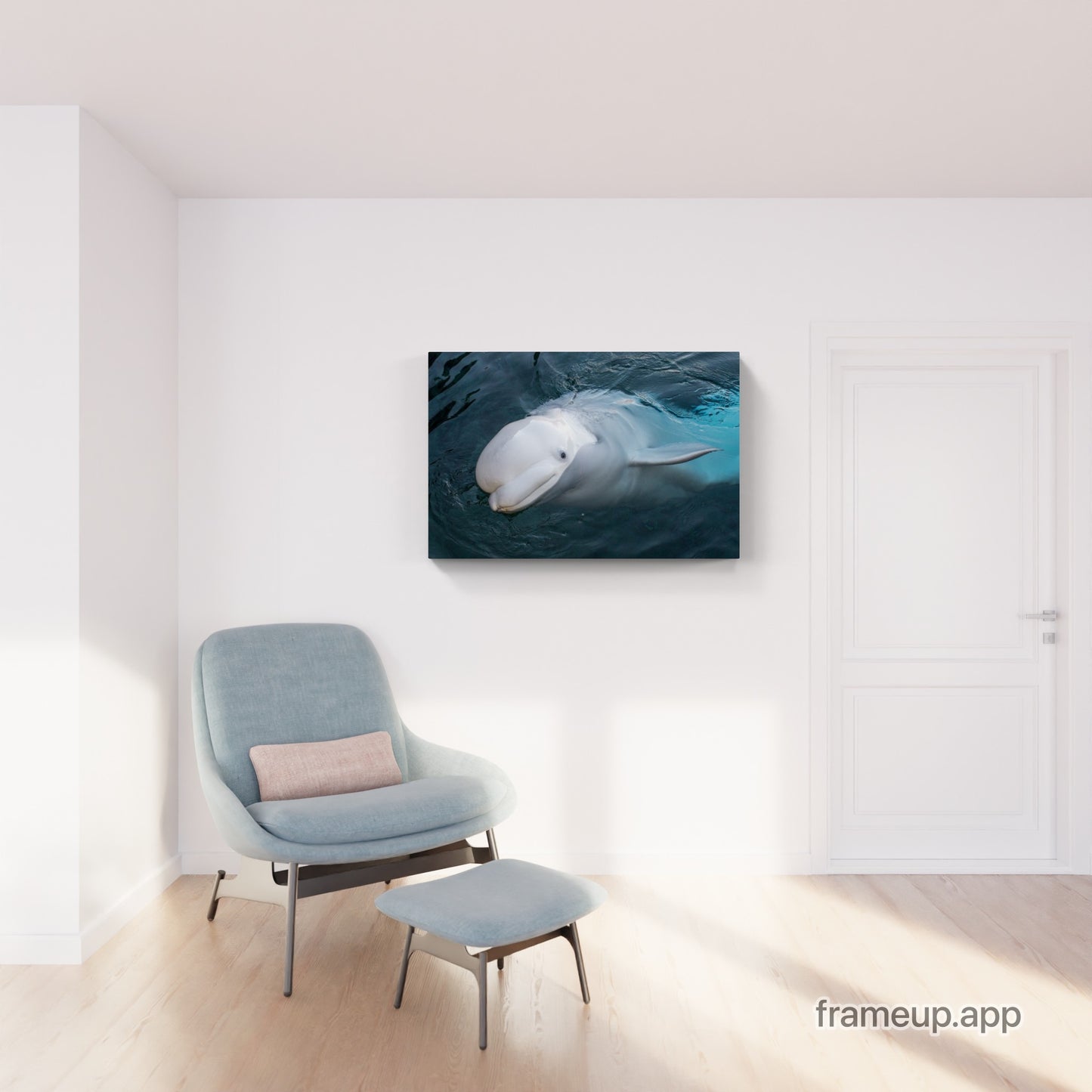 Beluga 1