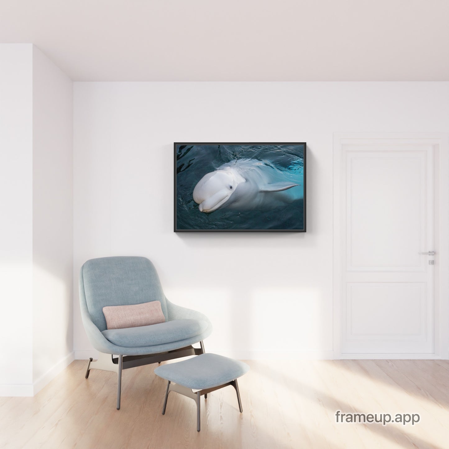 Beluga 1