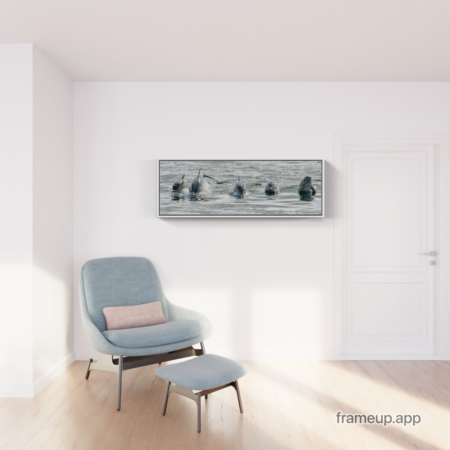 Common Dolphins Pano 2