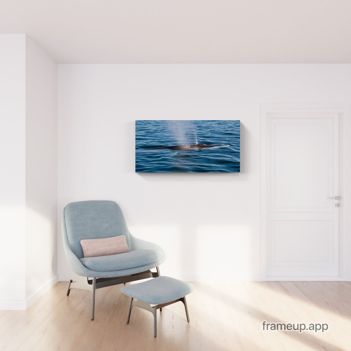Fin Whale 1