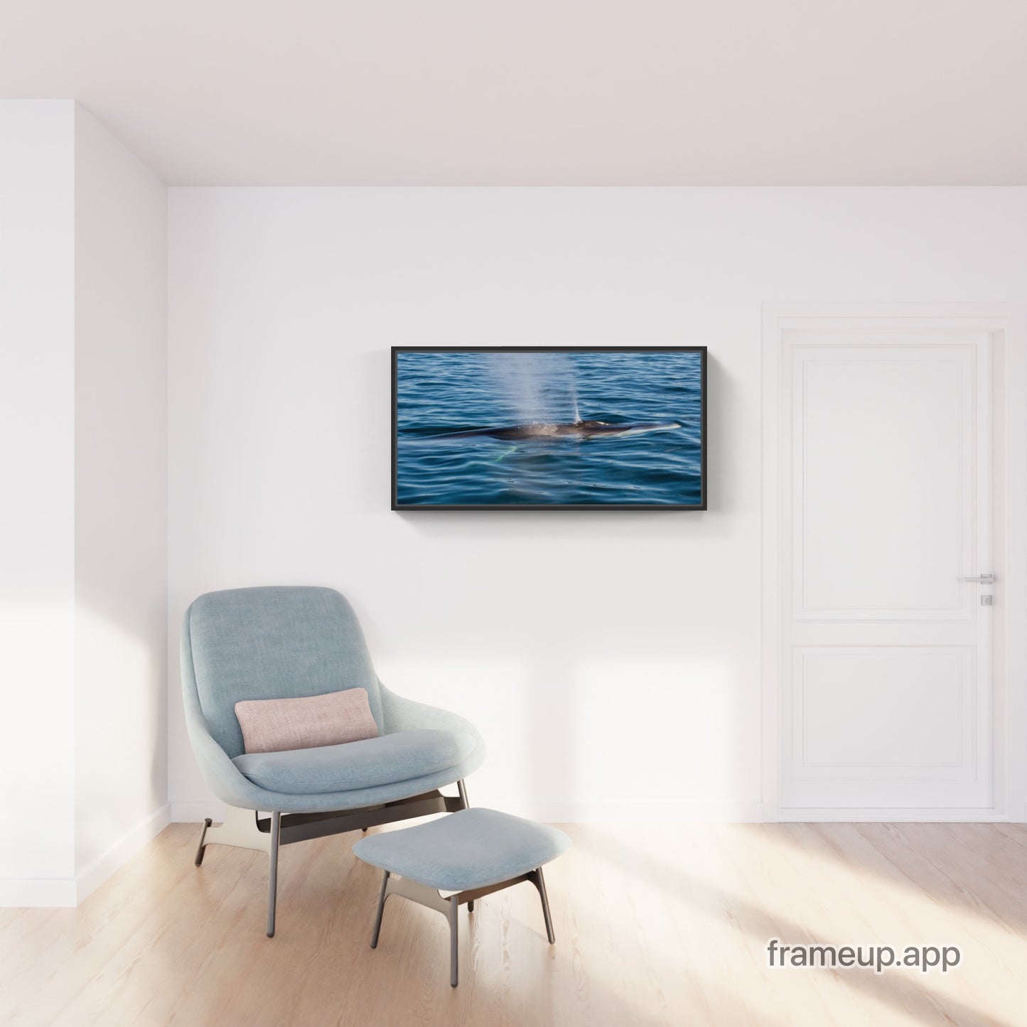 Fin Whale 1