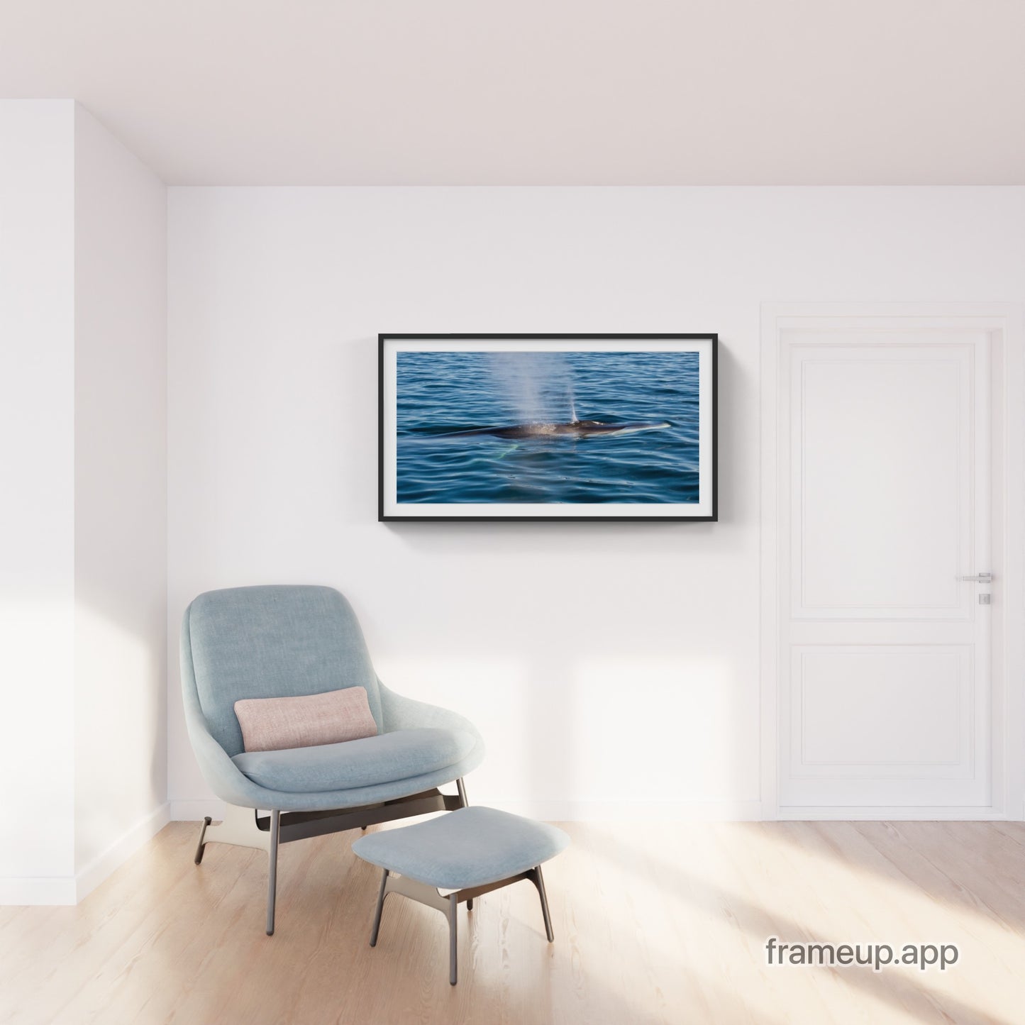 Fin Whale 1