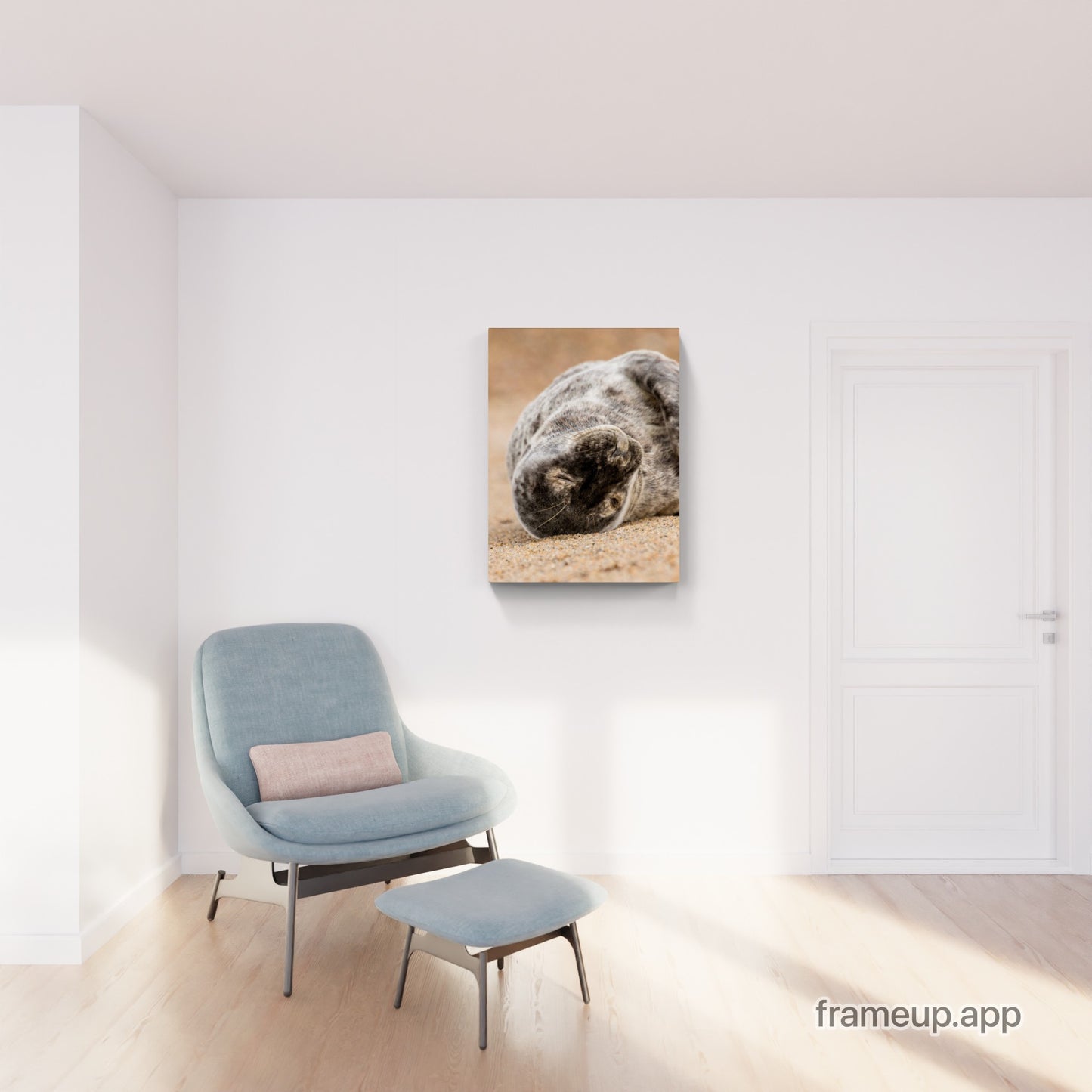Grey Seal Pup 11