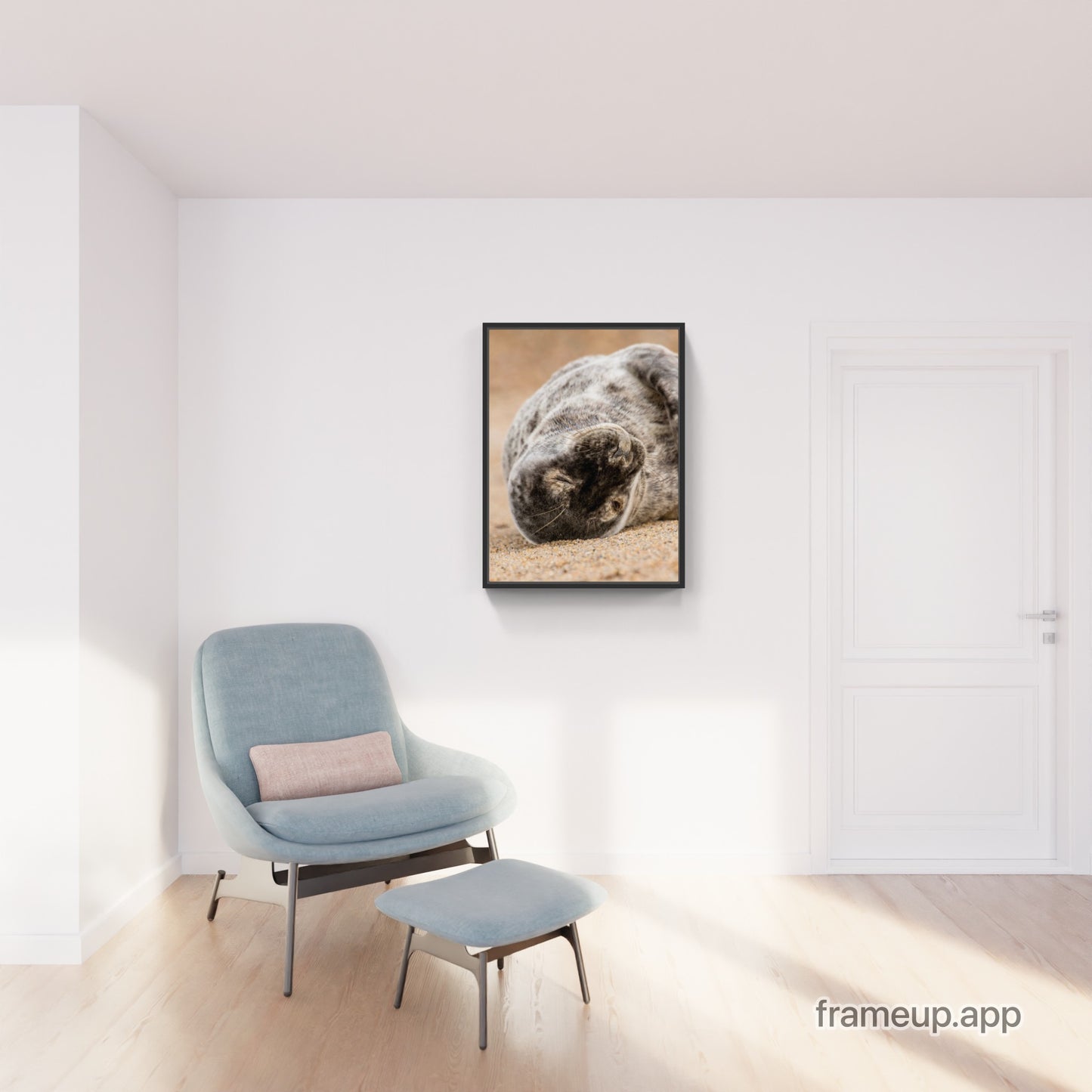 Grey Seal Pup 11