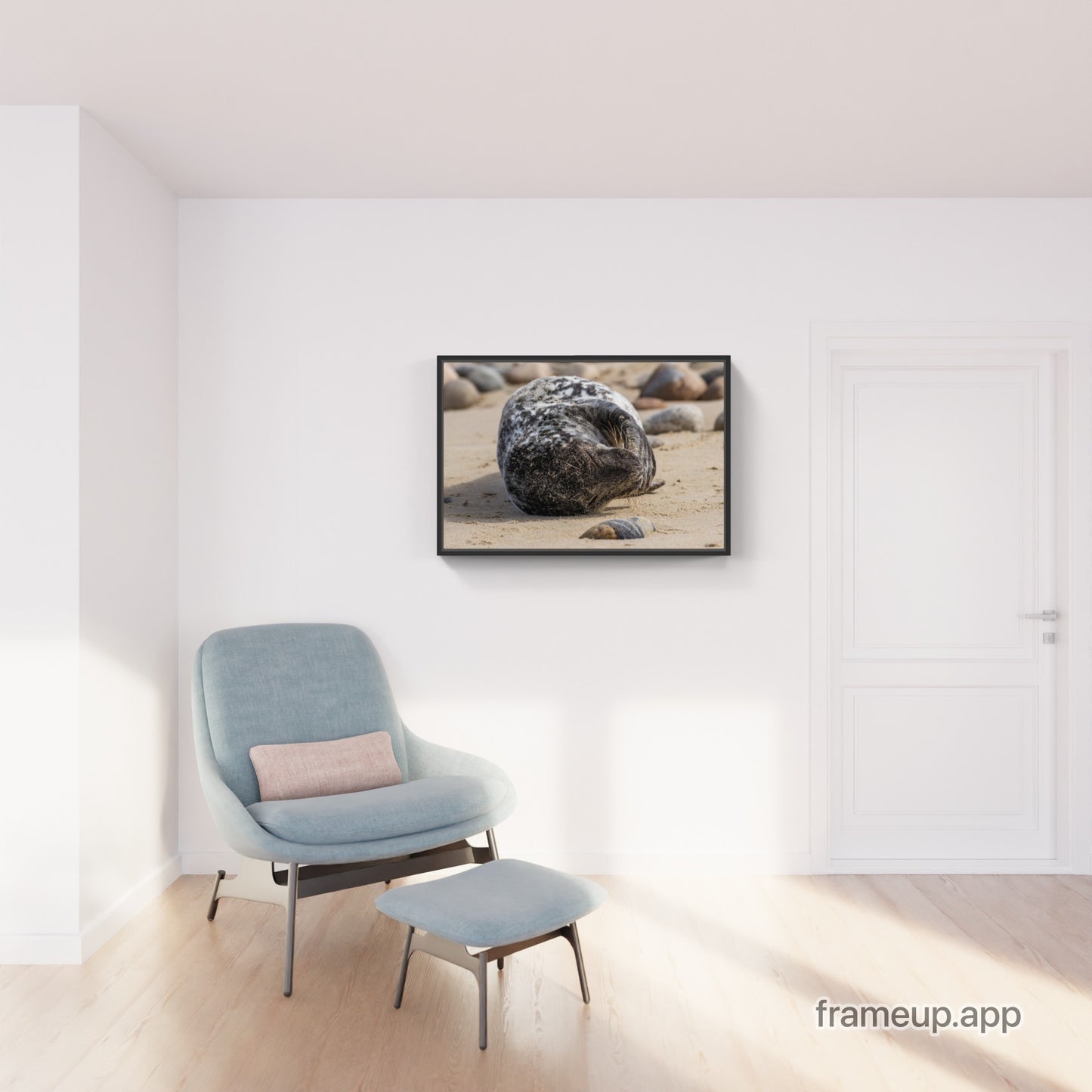 Grey Seal Pup 12