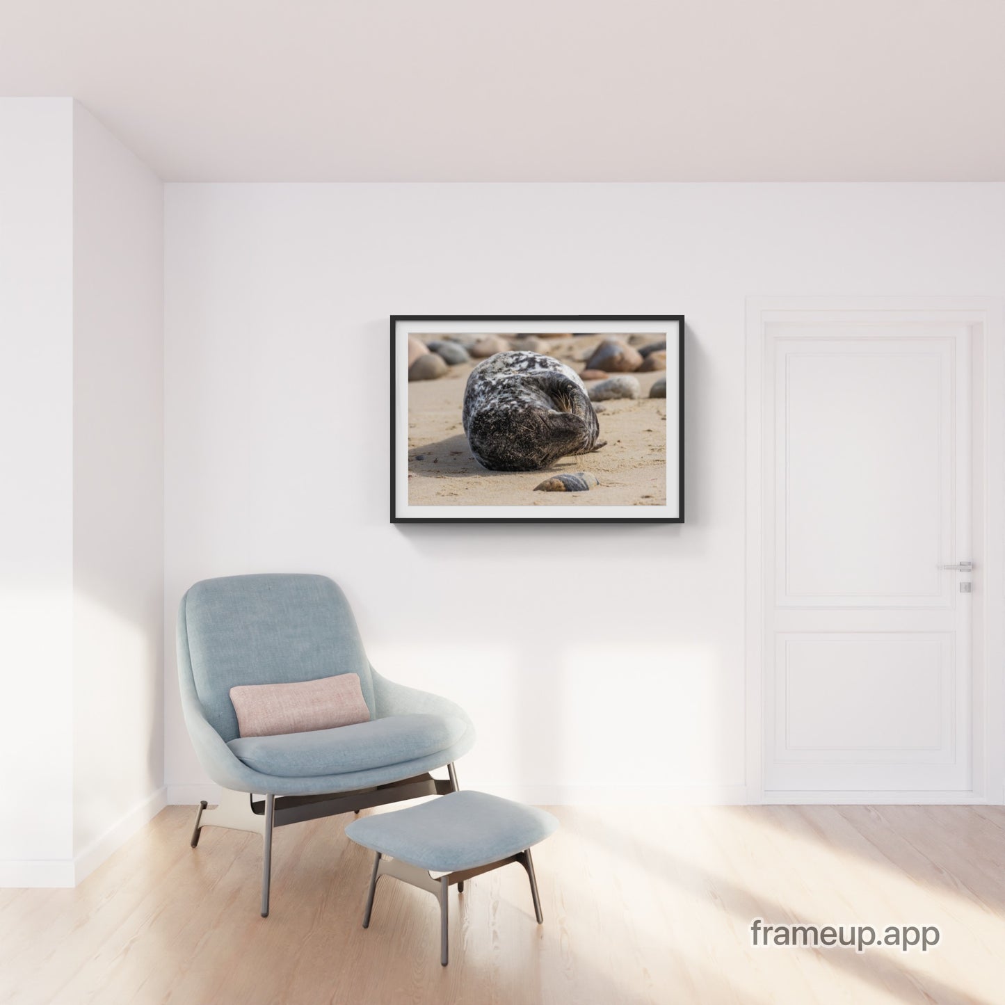 Grey Seal Pup 12