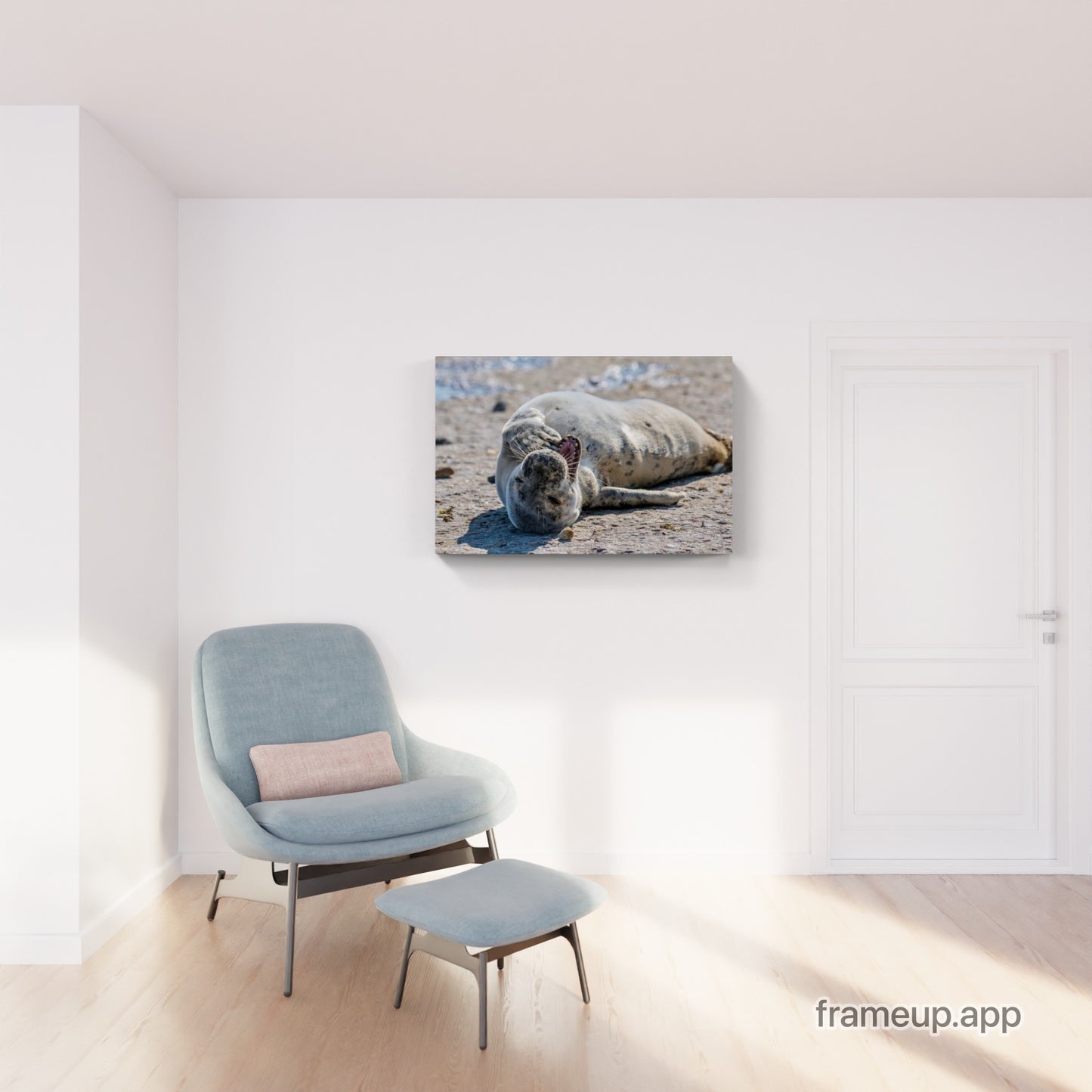 Grey Seal Pup 14