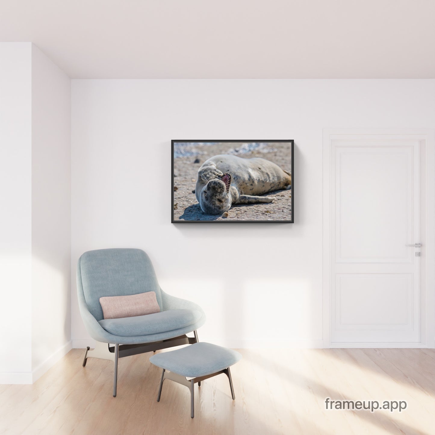 Grey Seal Pup 14