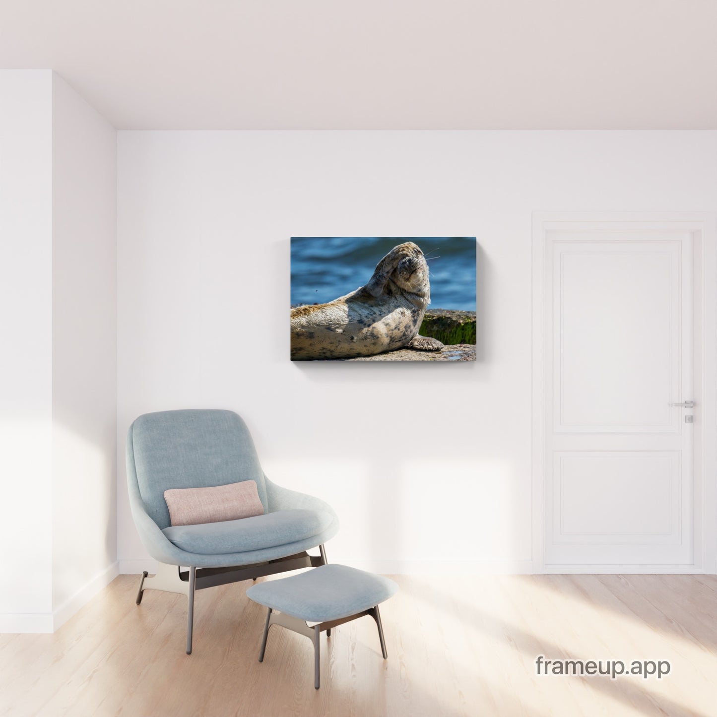 Grey Seal Pup 20