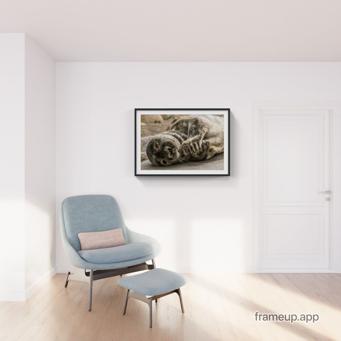 Grey Seal Pup 25