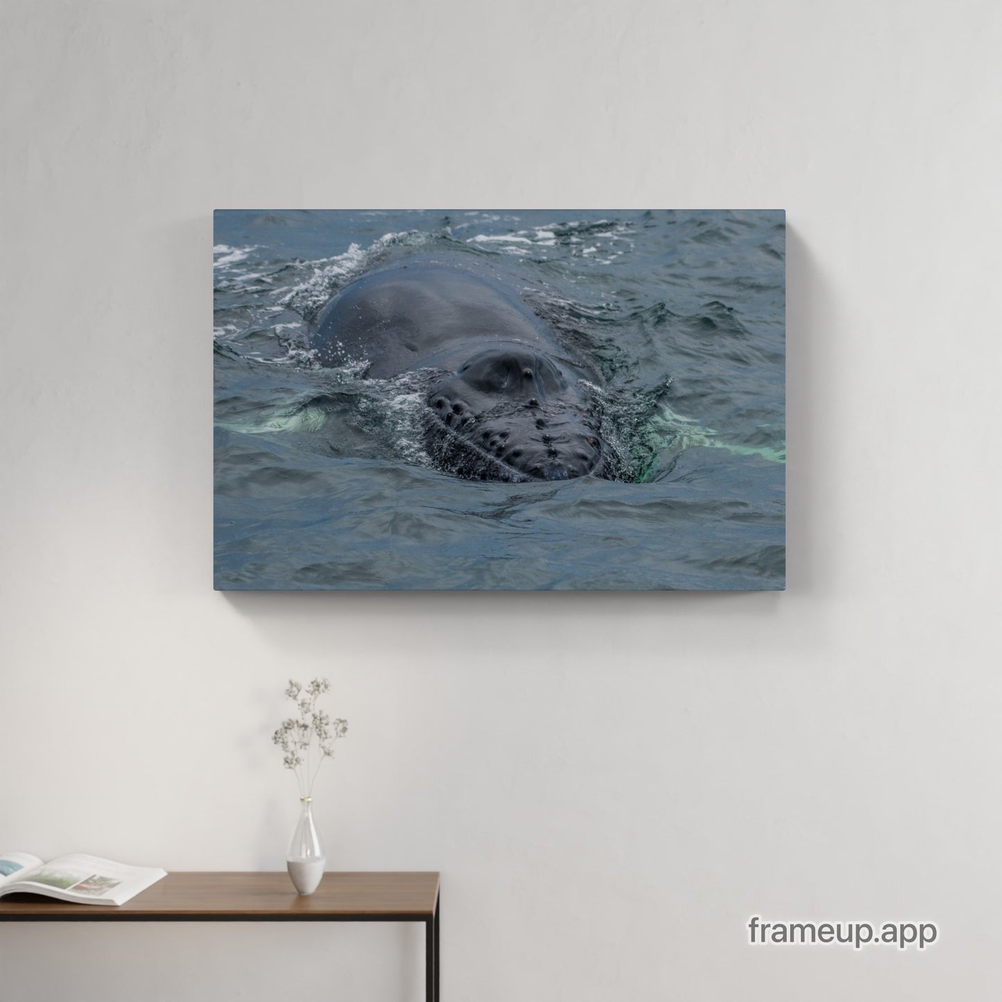 Humpback Calf Smile 1