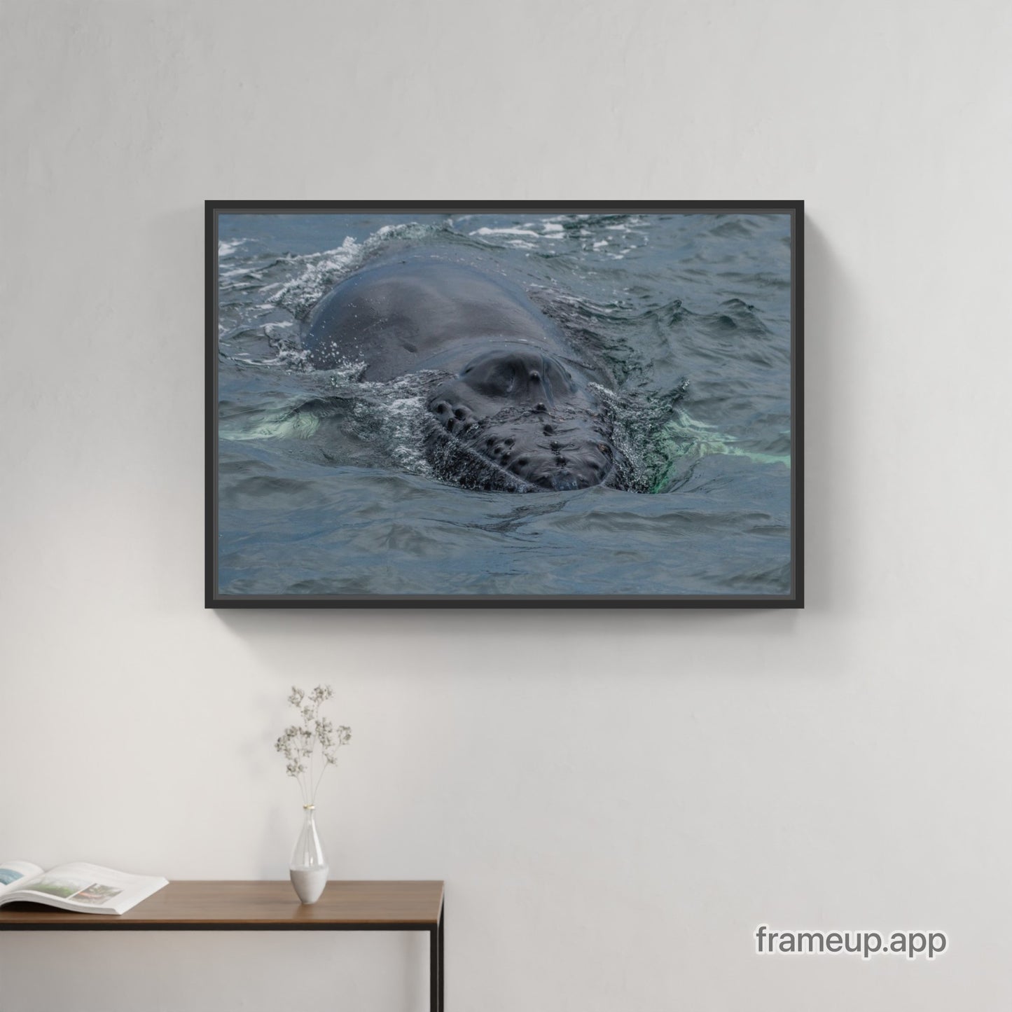 Humpback Calf Smile 1