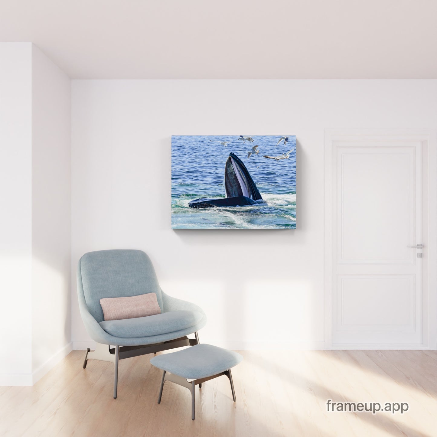 Humpback Feeding 7