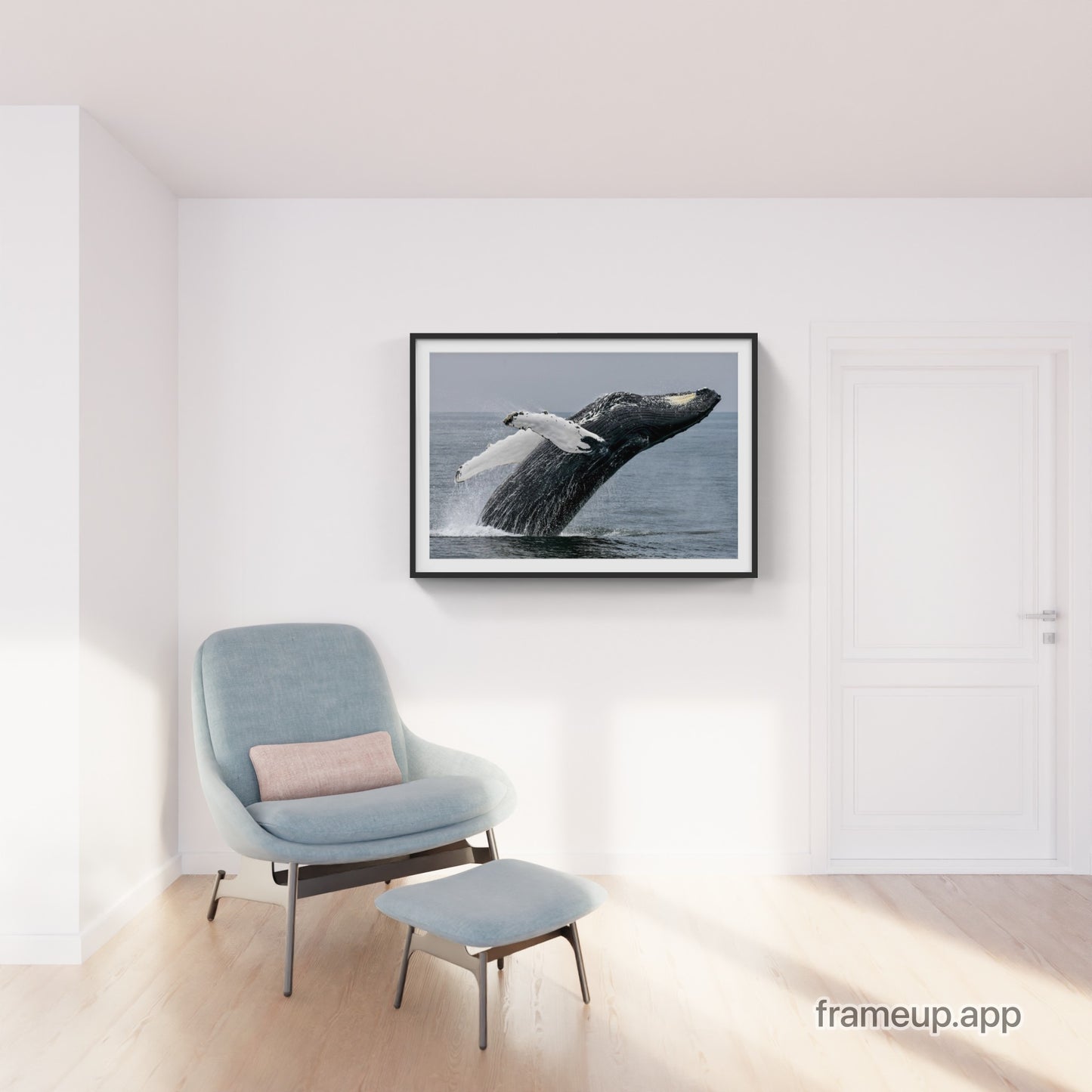 Humpback Whale Breach 2