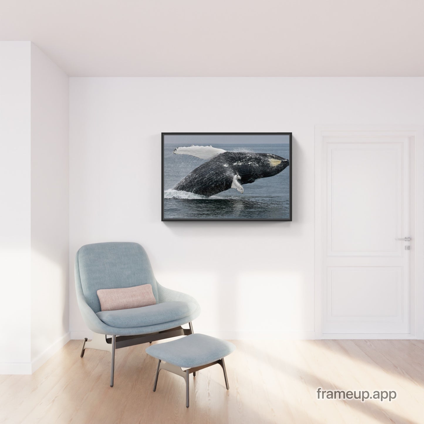 Humpback Whale Breach 4