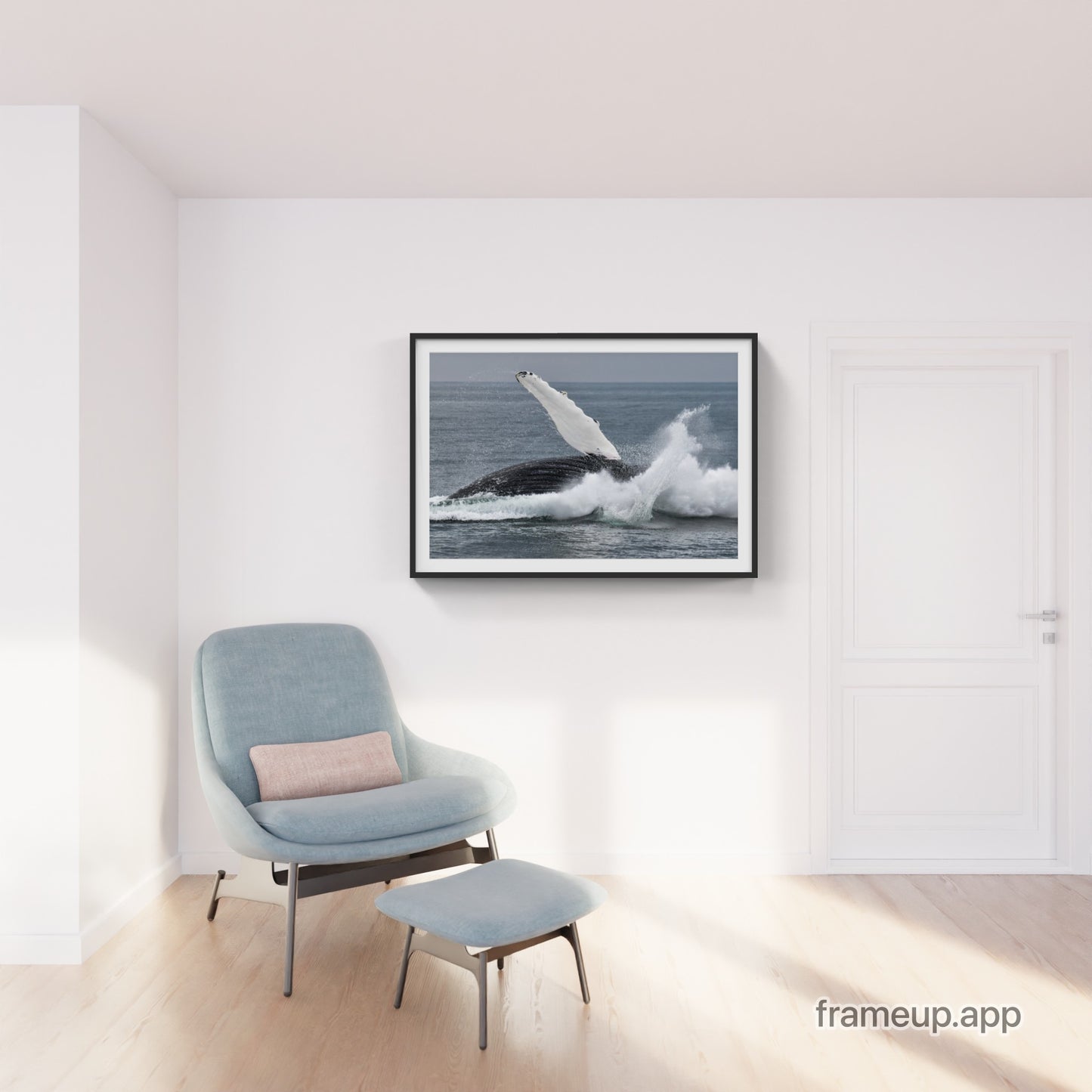 Humpback Whale Breach 6