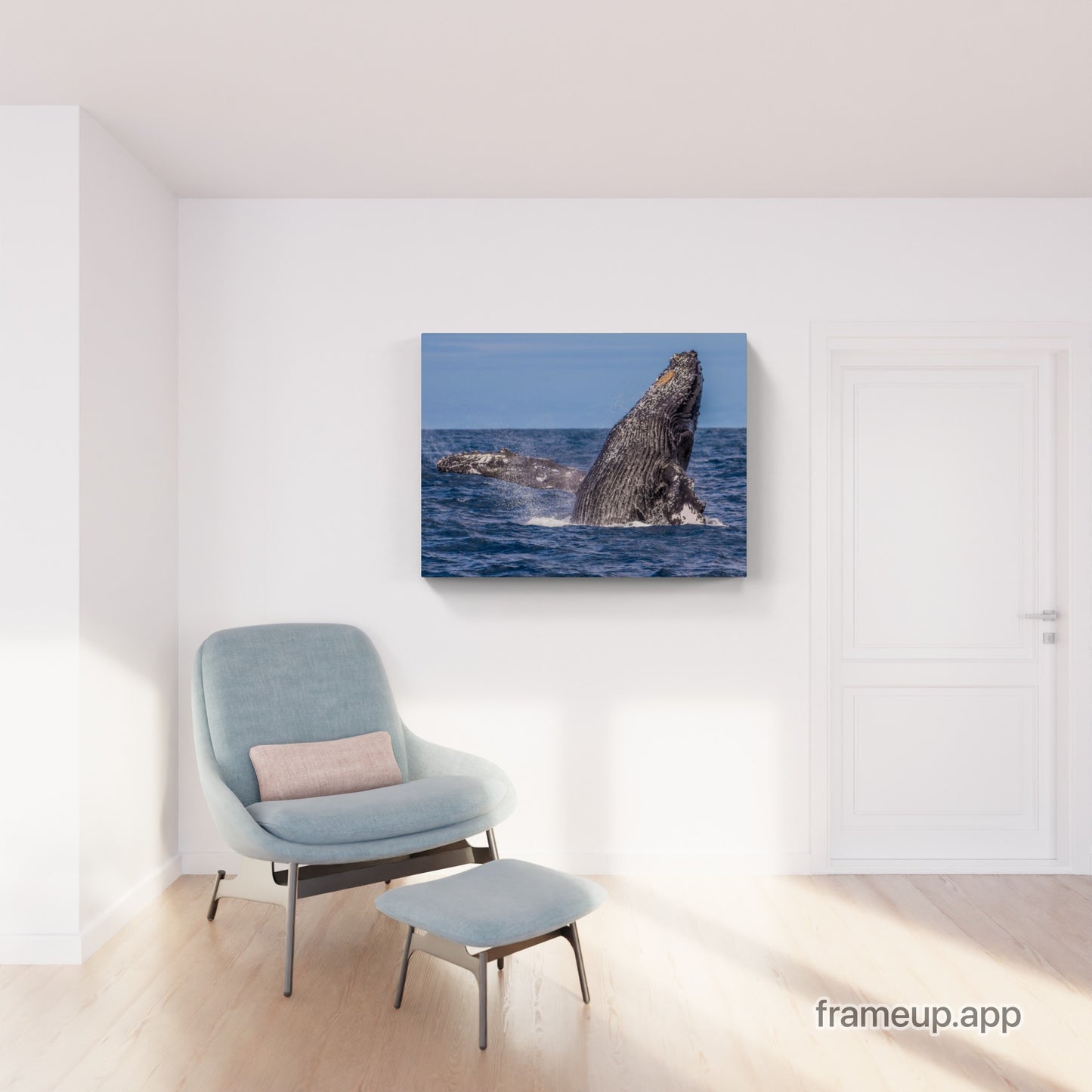 Humpback Whale Breach 7