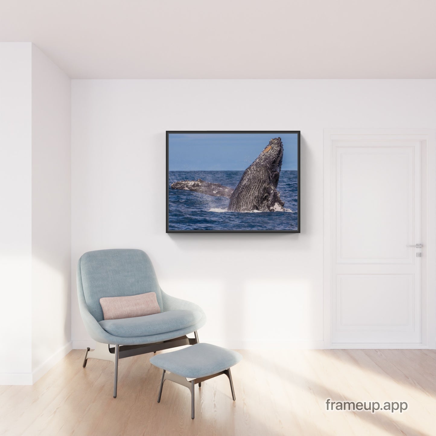 Humpback Whale Breach 7