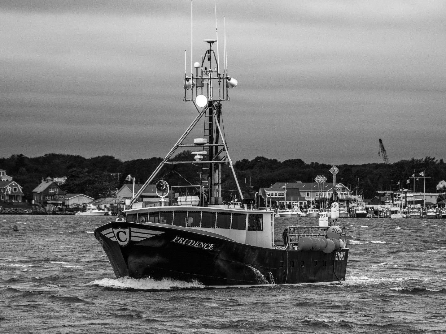 Prudence 13