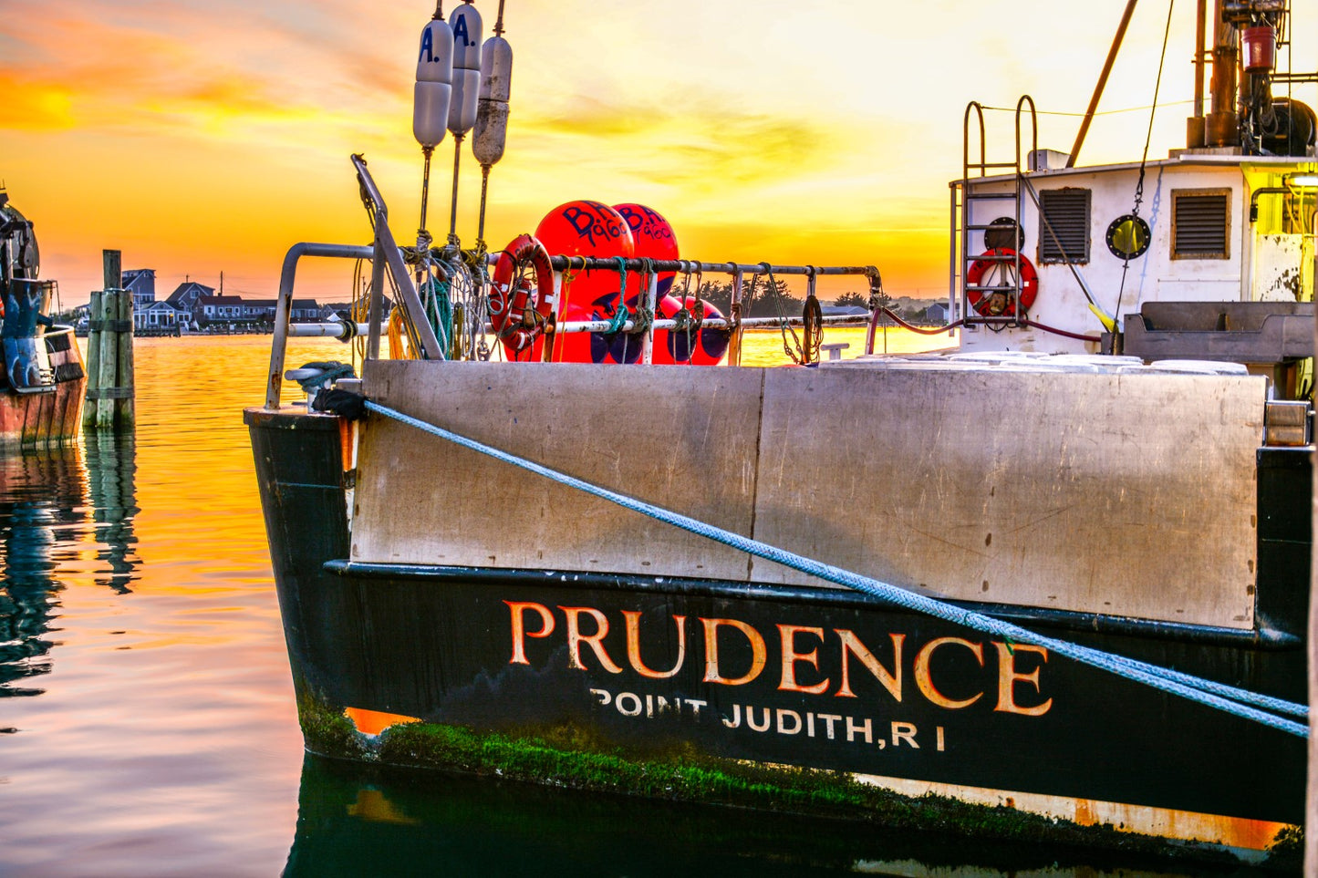Prudence 5