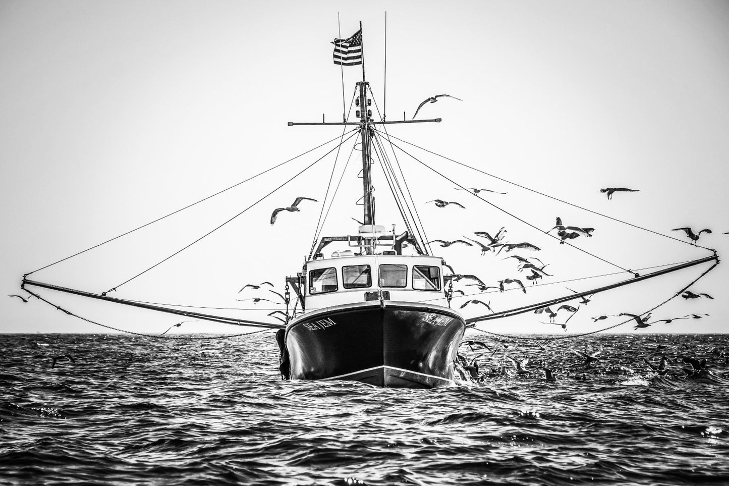 Sea Jem 2