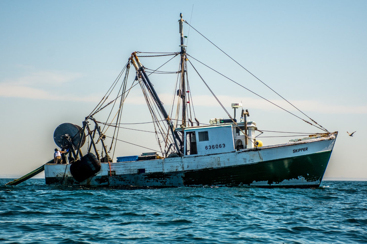 Skipper 5