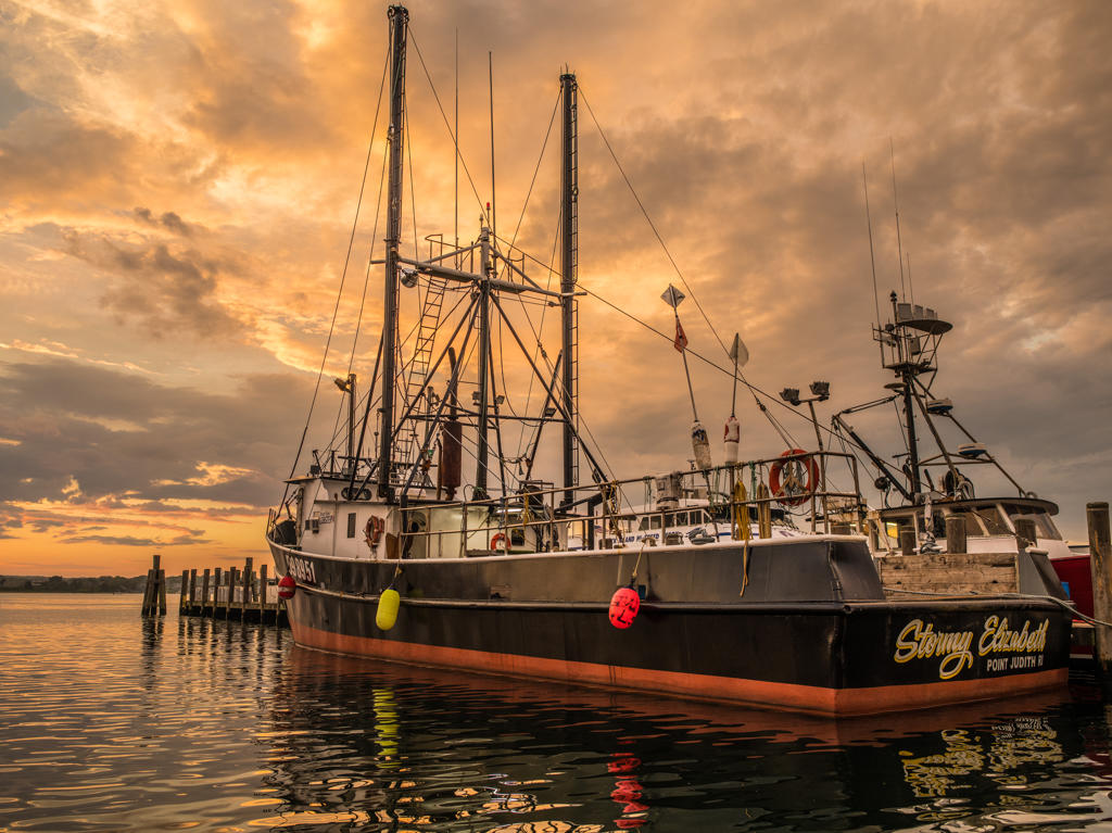 Stormy Elizabeth 26