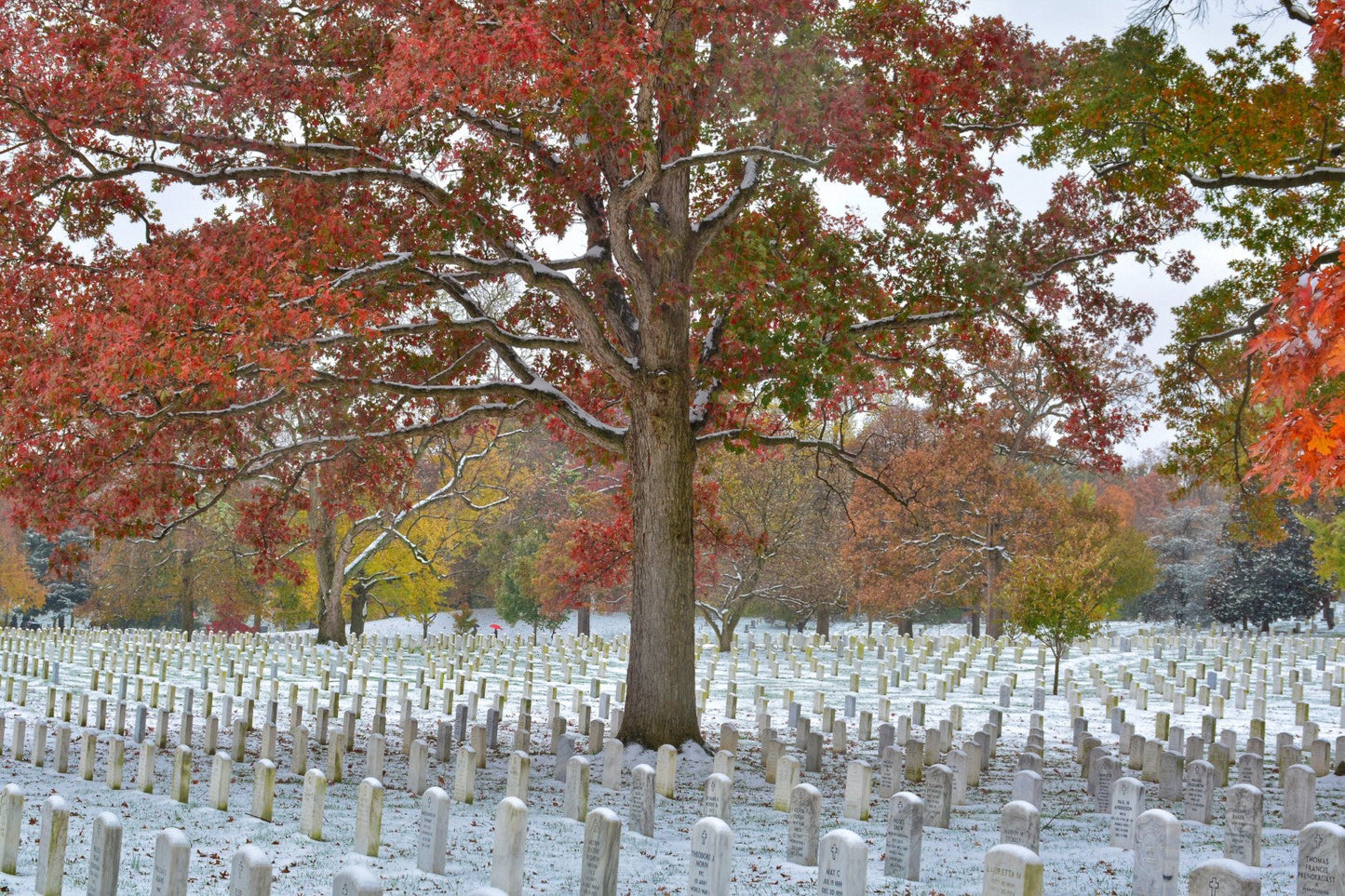 Arlington Cemetery Fall Snowstorm 3
