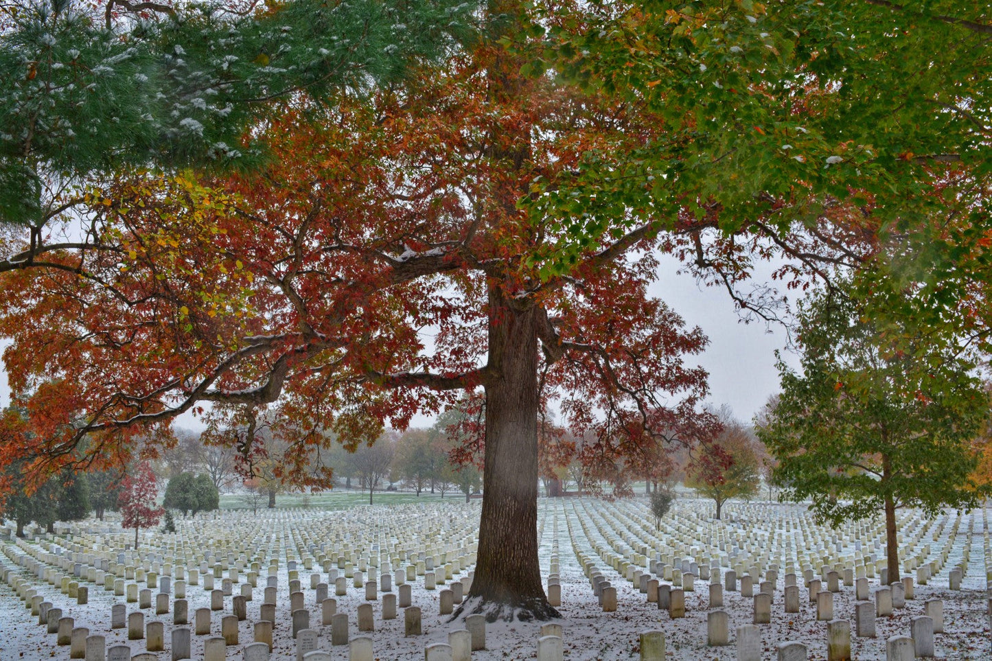 Arlington Cemetery Fall Snowstorm 5