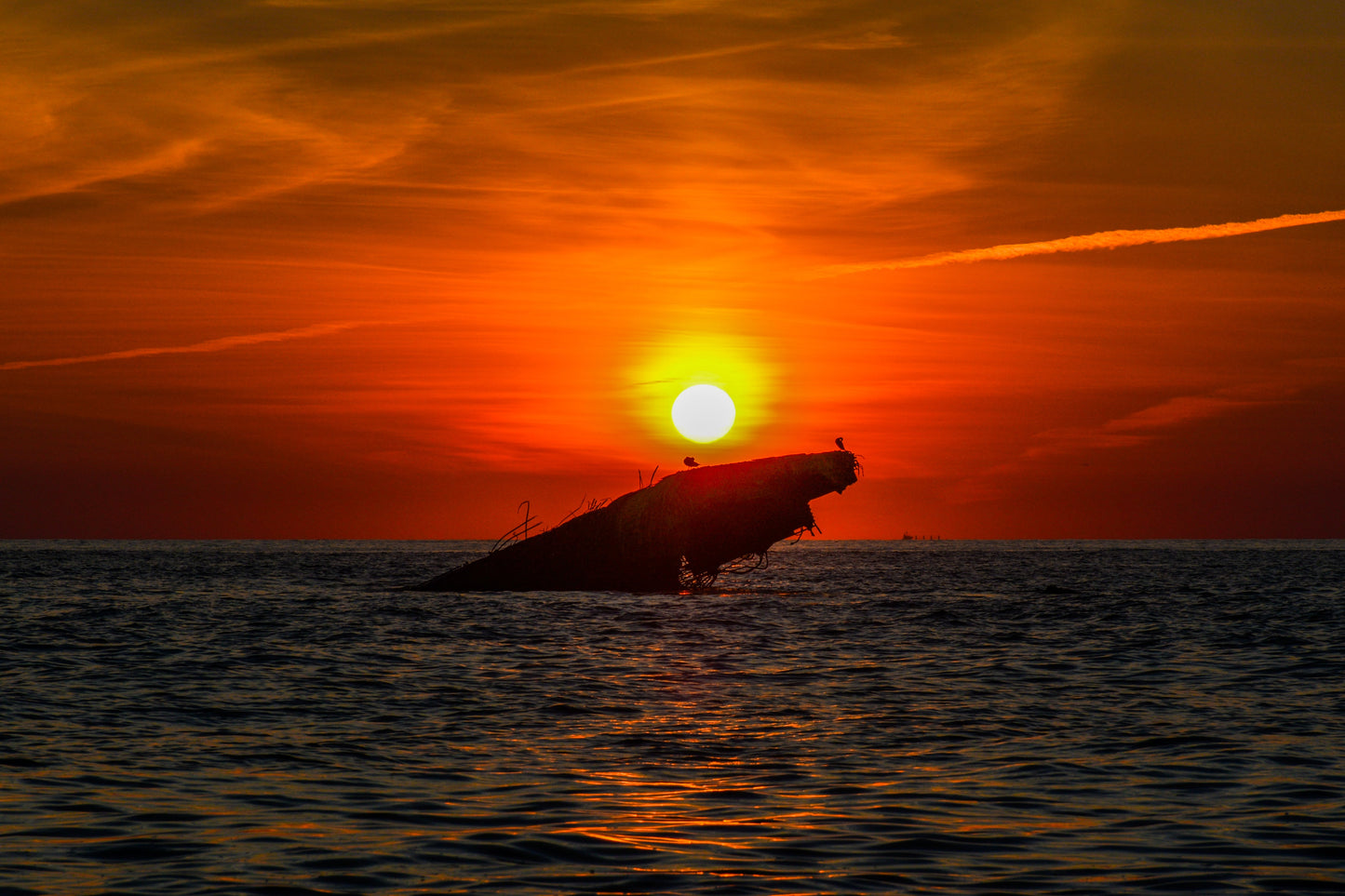 Cape May 2
