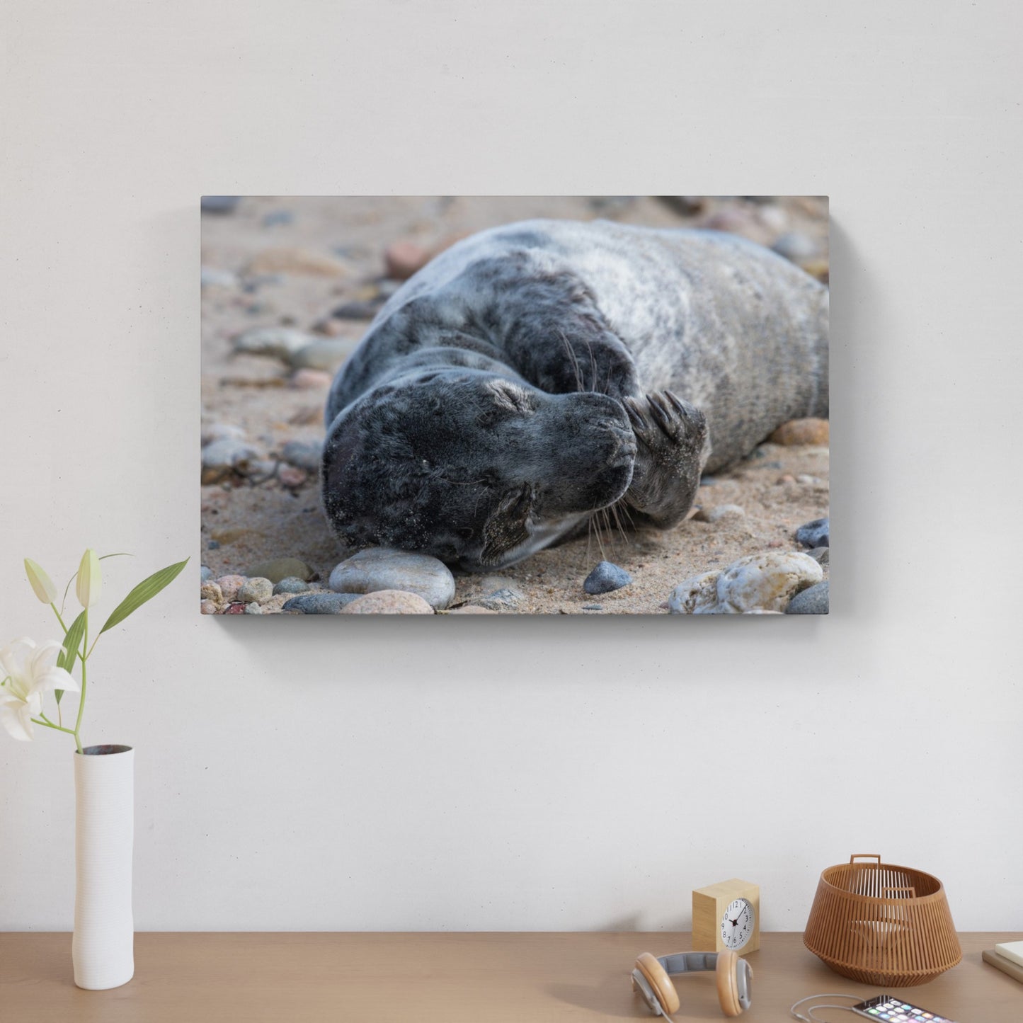 Grey Seal Pup 10