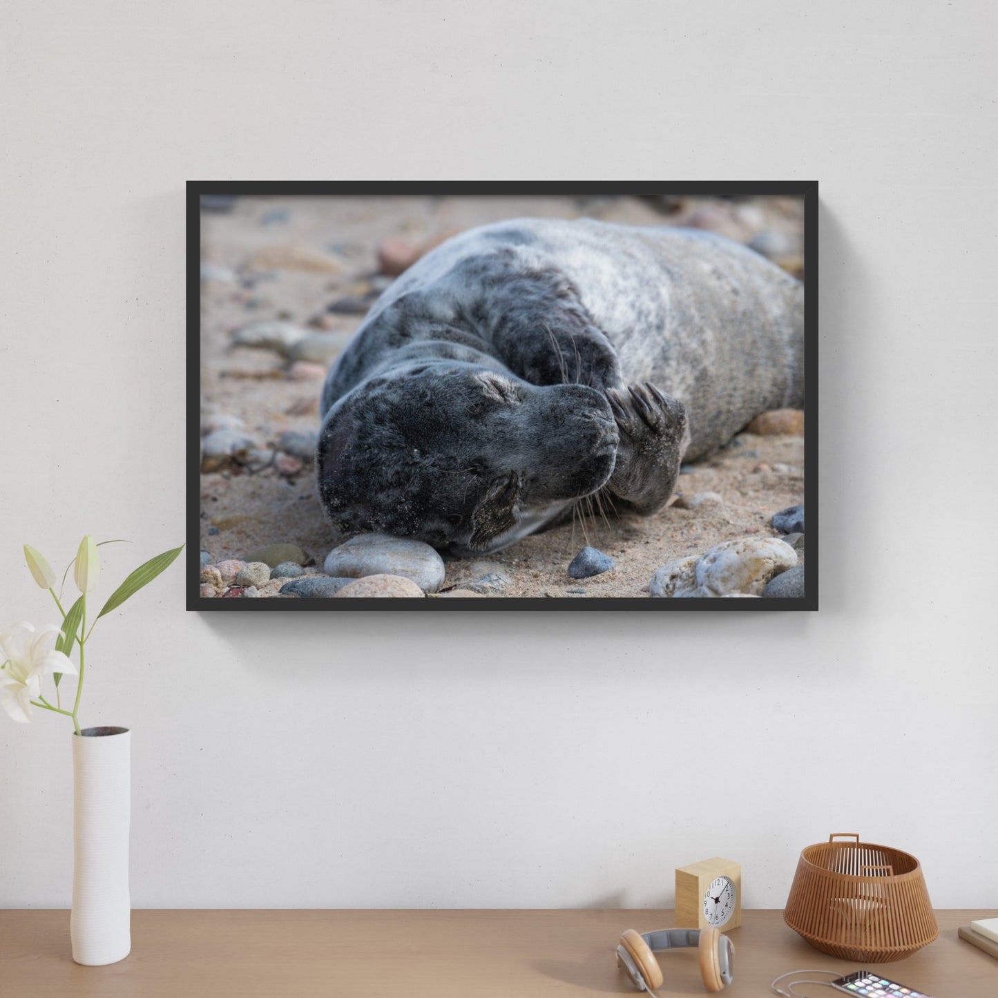 Grey Seal Pup 10