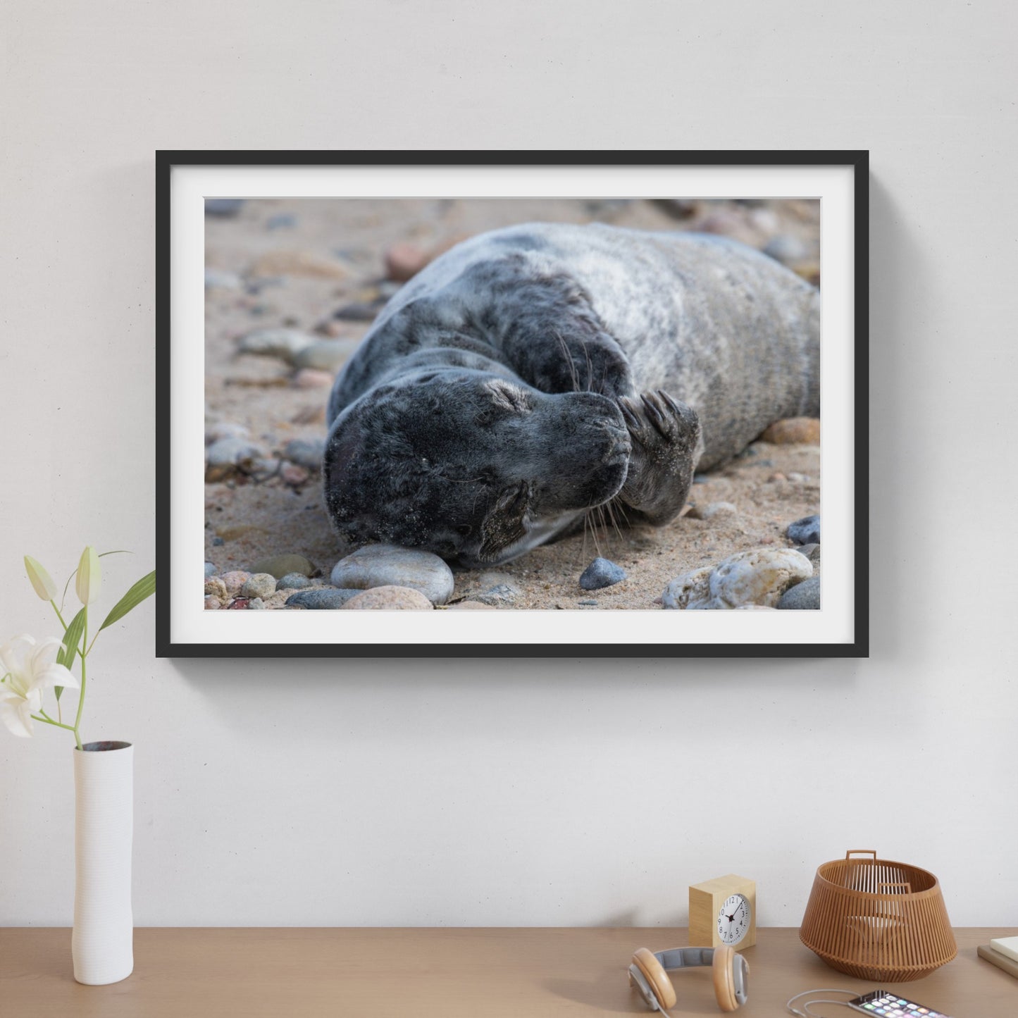 Grey Seal Pup 10