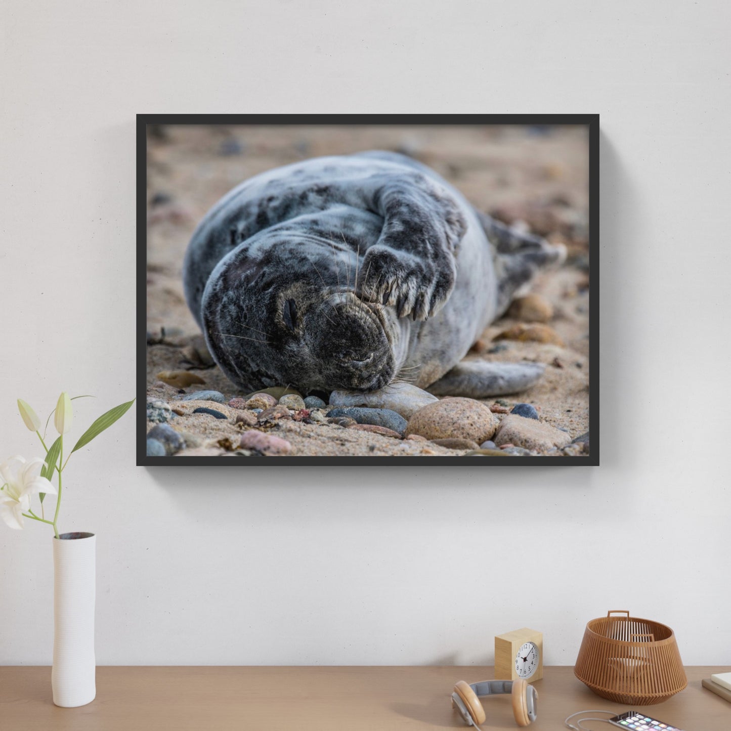 Grey Seal Pup 2