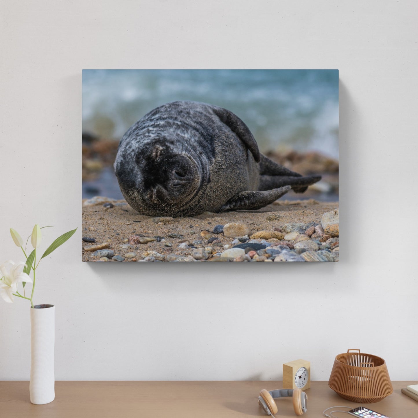 Grey Seal Pup 3