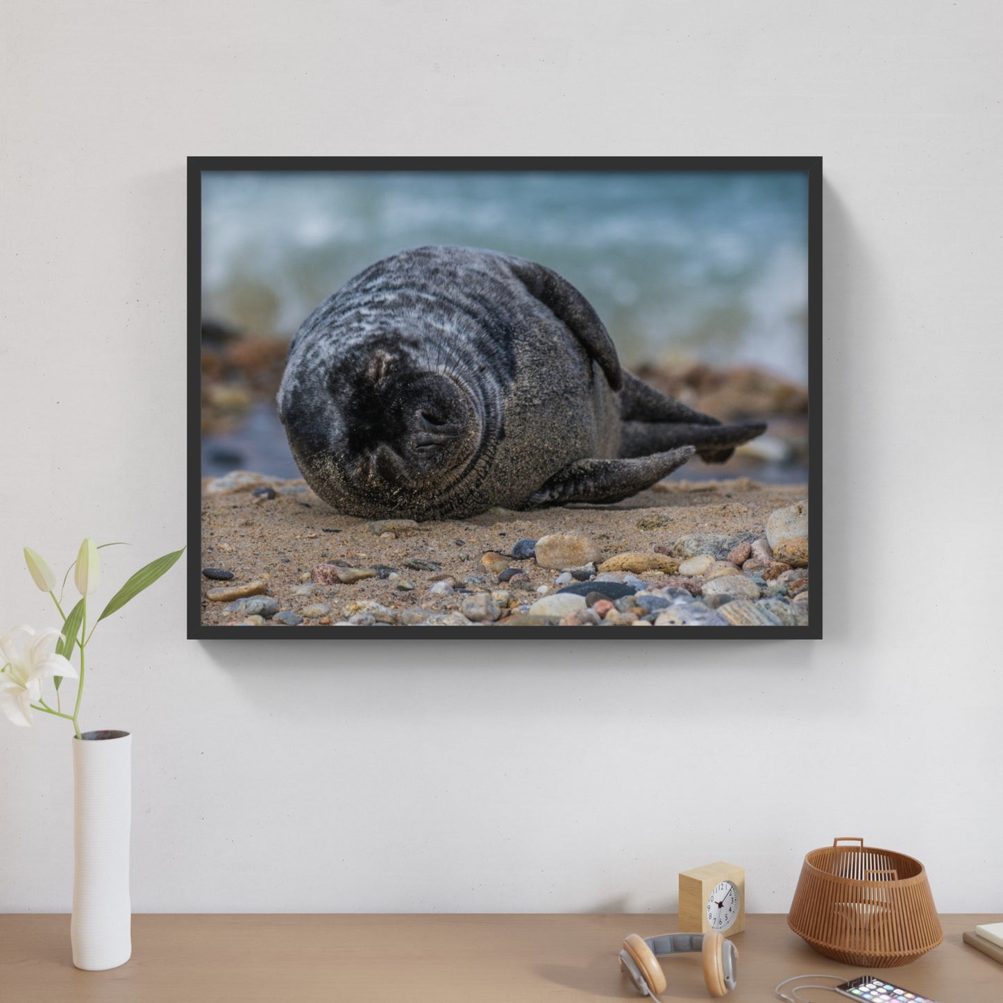 Grey Seal Pup 3