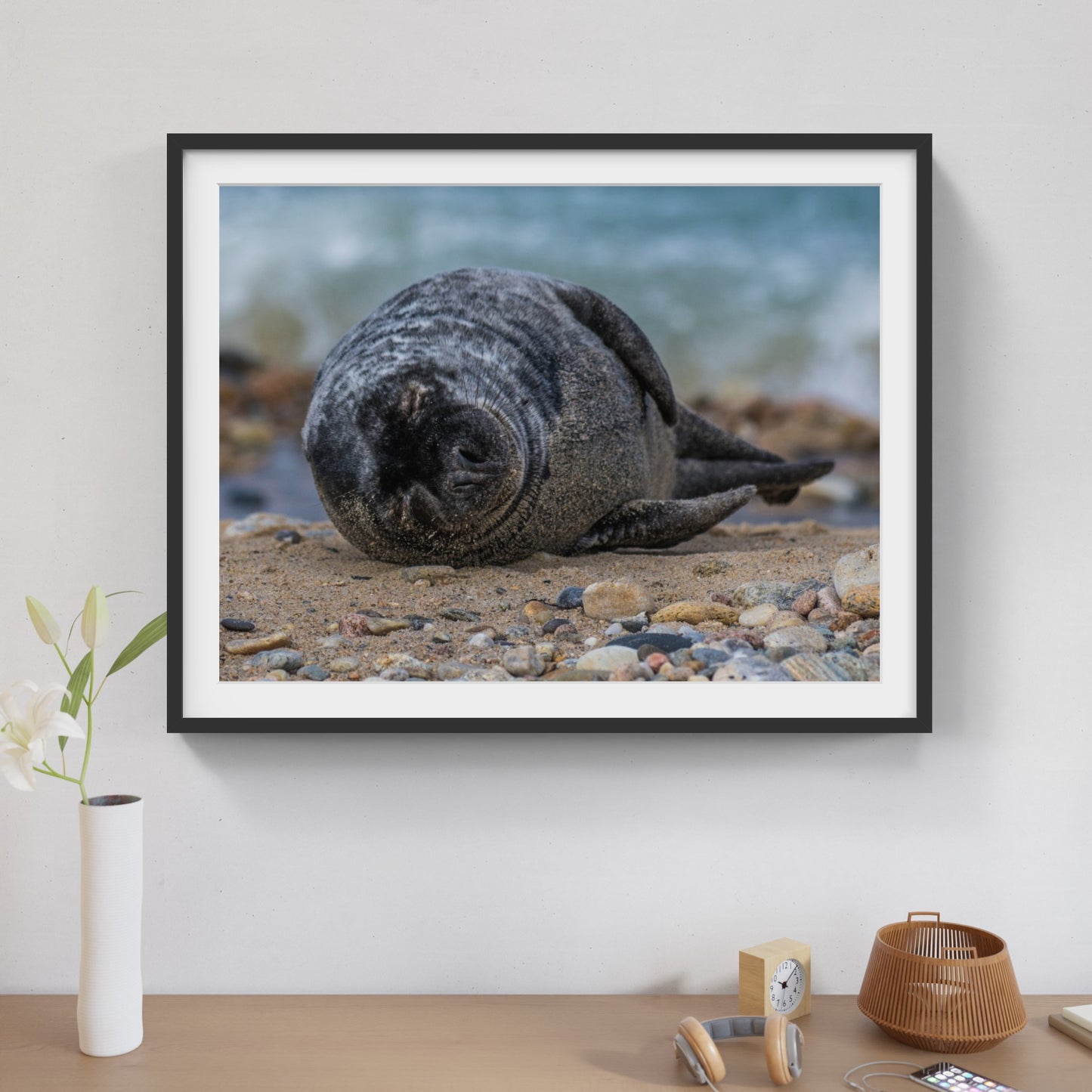Grey Seal Pup 3