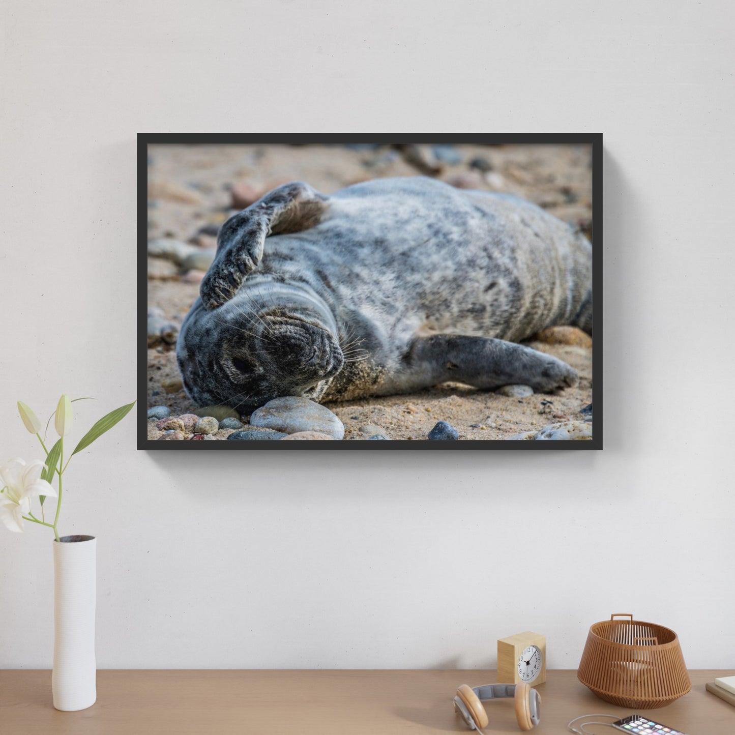 Grey Seal Pup 4