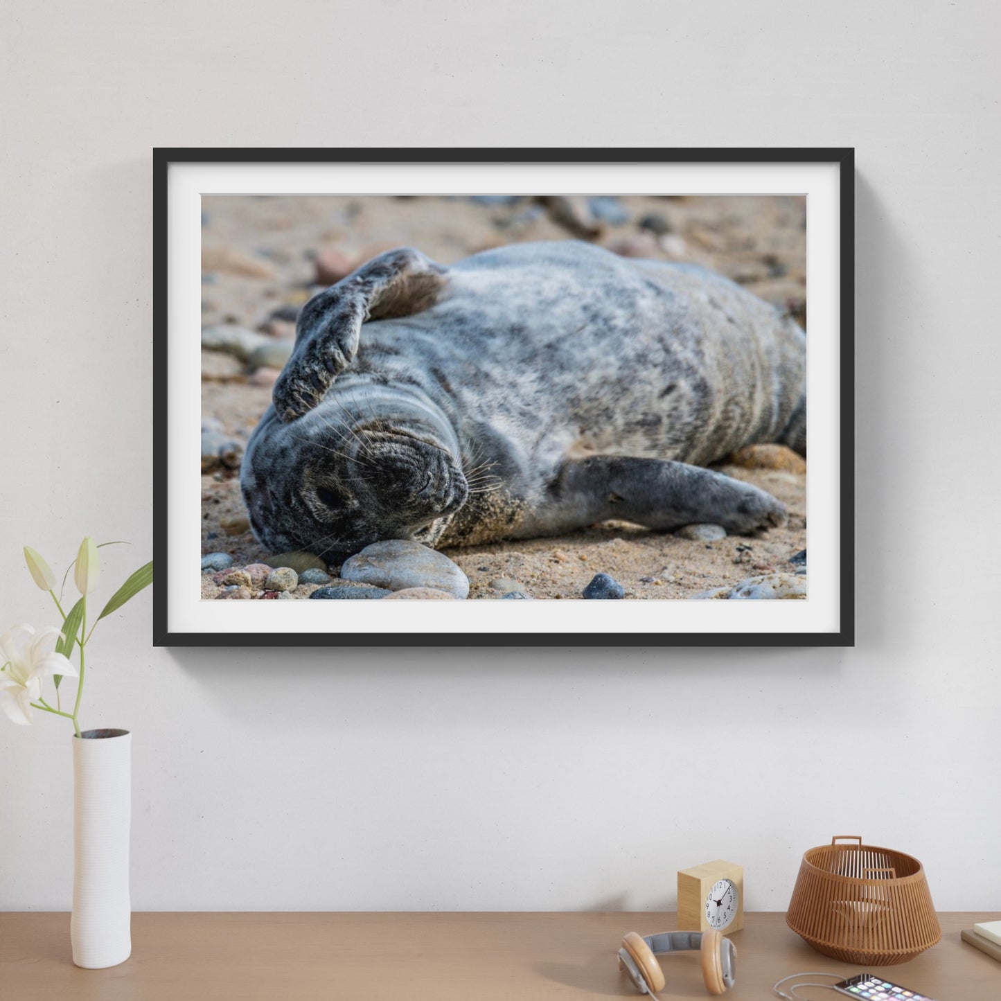 Grey Seal Pup 4