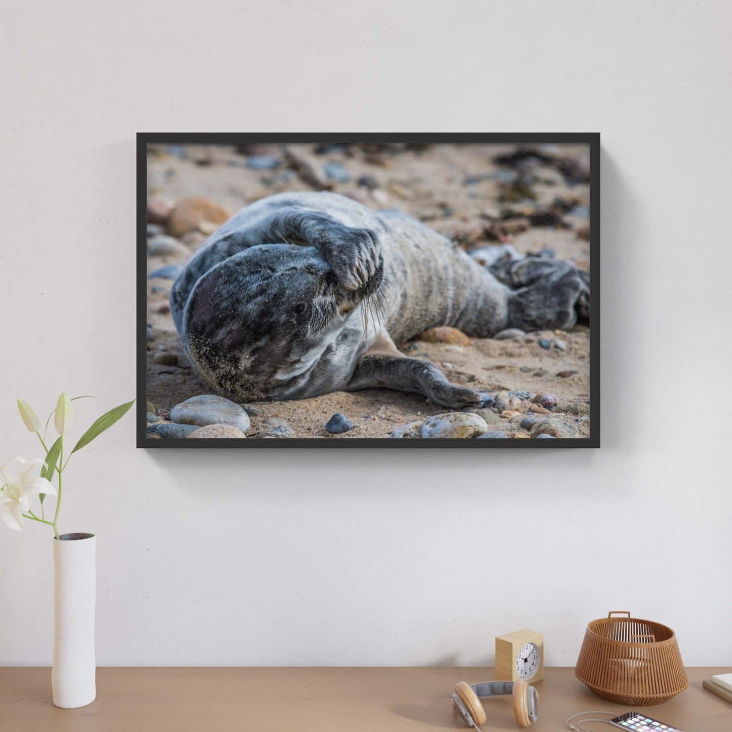 Grey Seal Pup 5