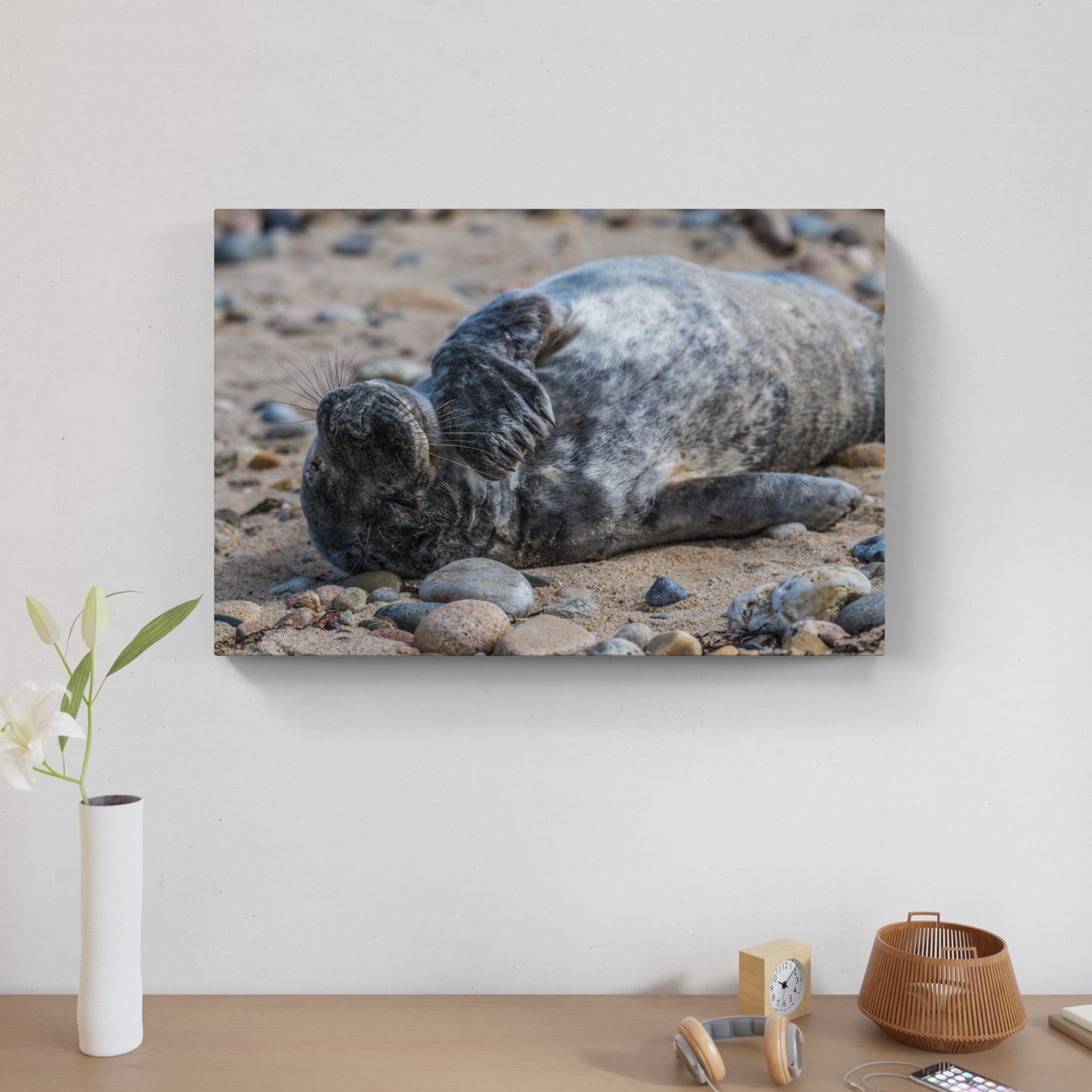 Grey Seal Pup 7