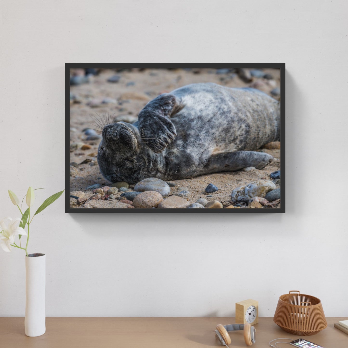 Grey Seal Pup 7