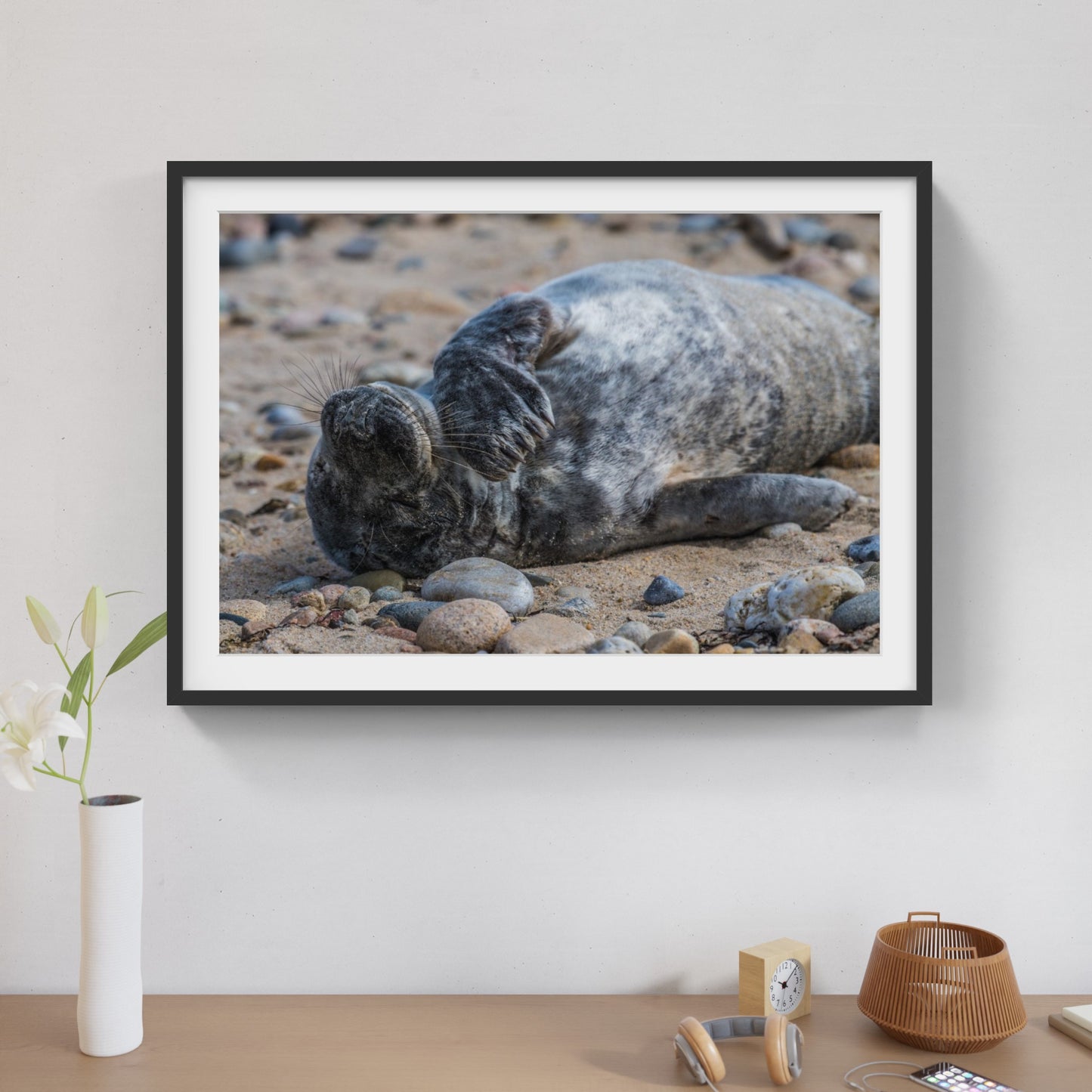 Grey Seal Pup 7