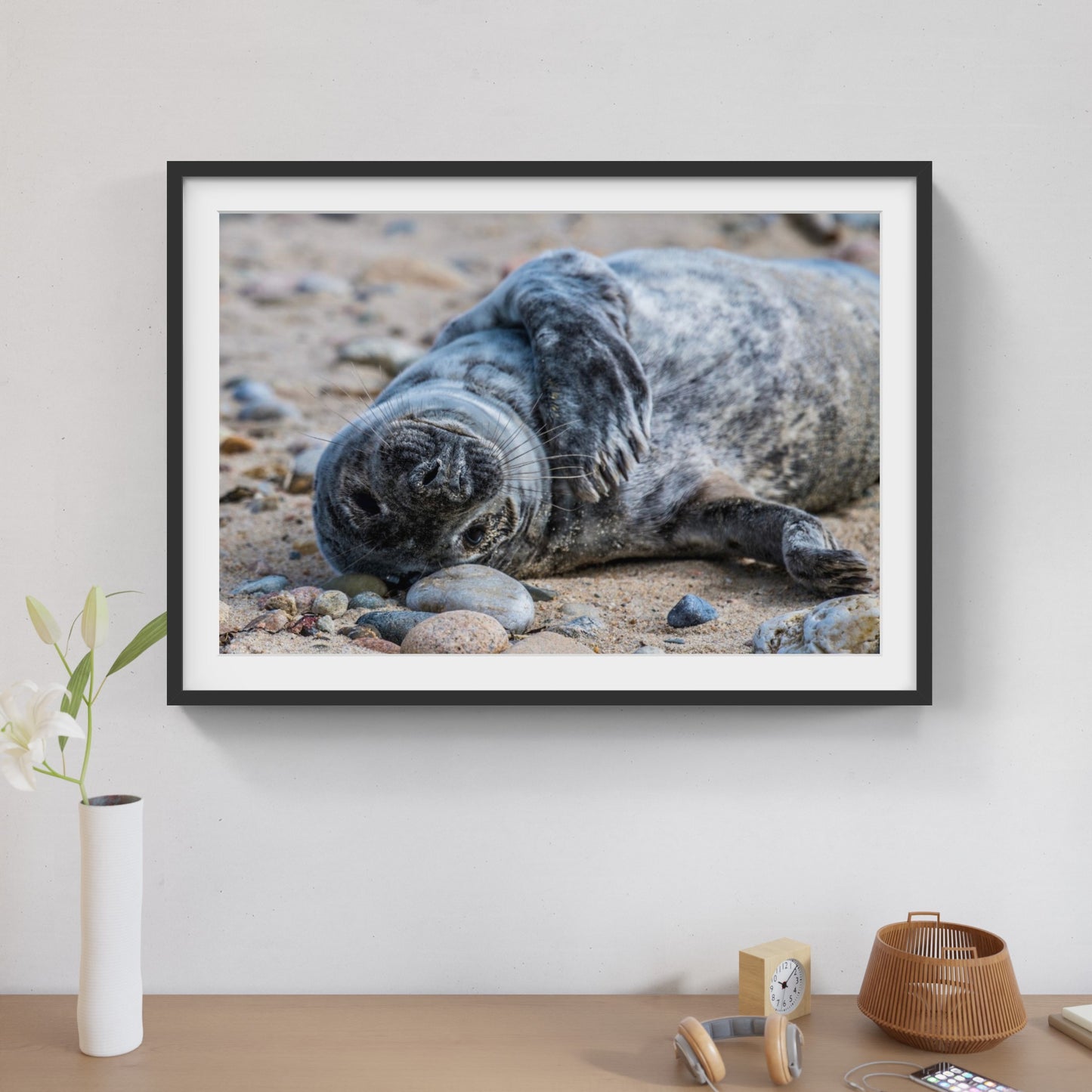 Grey Seal Pup 9