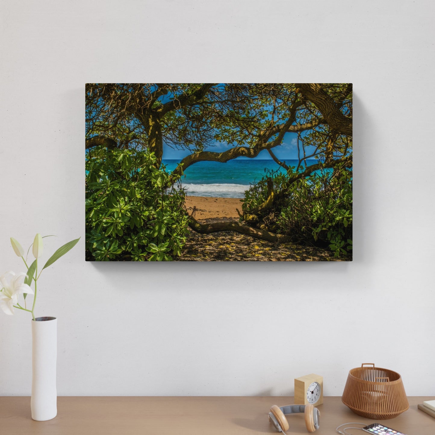 Kauai 3