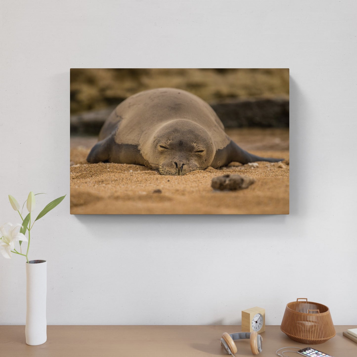 Monk Seal 1