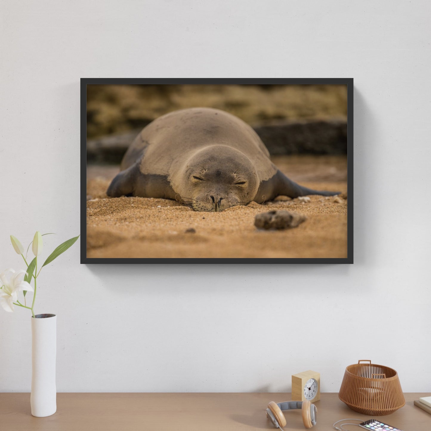 Monk Seal 1