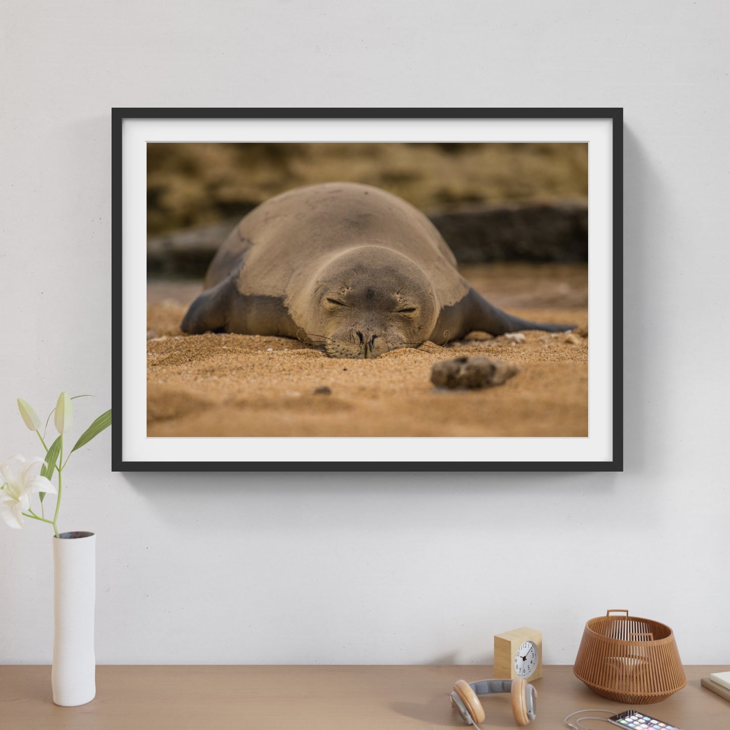 Monk Seal 1