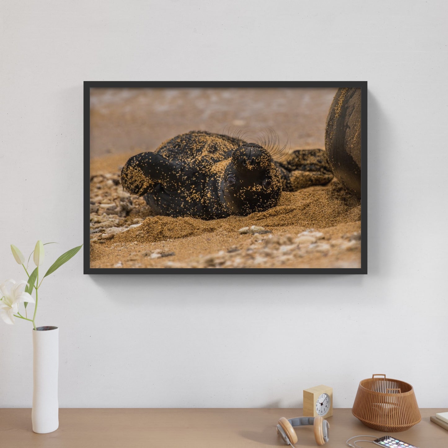 Monk Seal Pup 4
