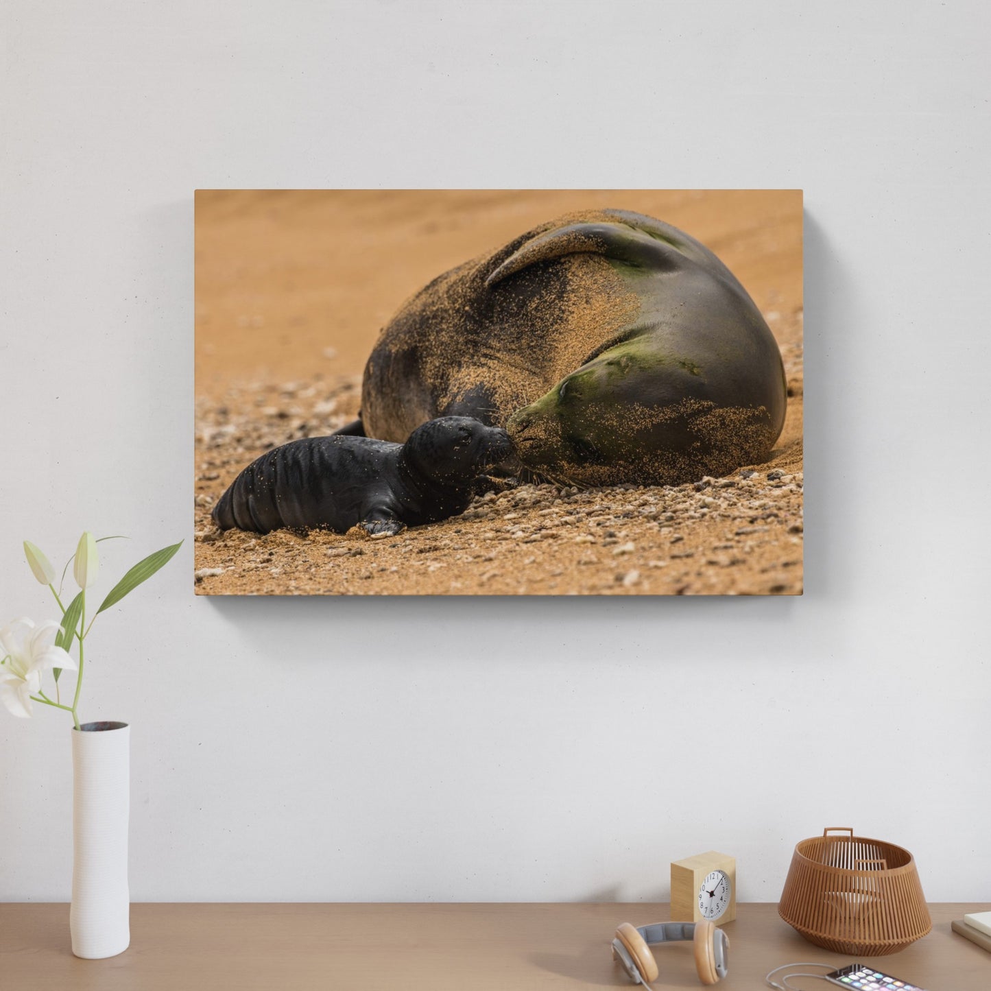 Monk Seal Pup 5